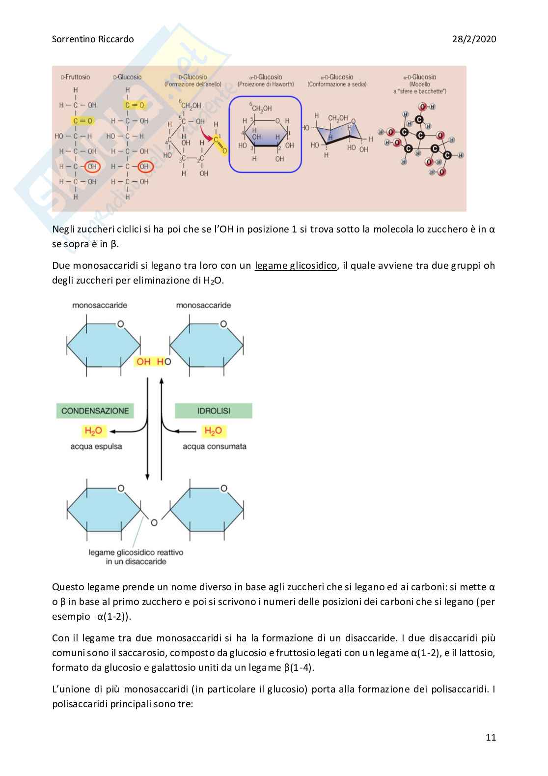 Biologia generale Pag. 11