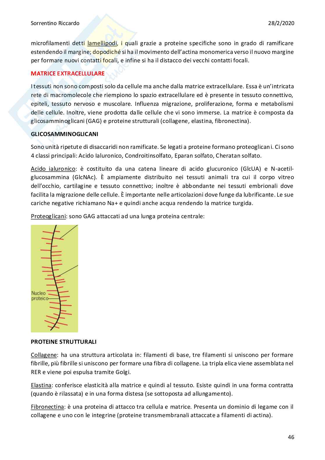 Biologia generale Pag. 46