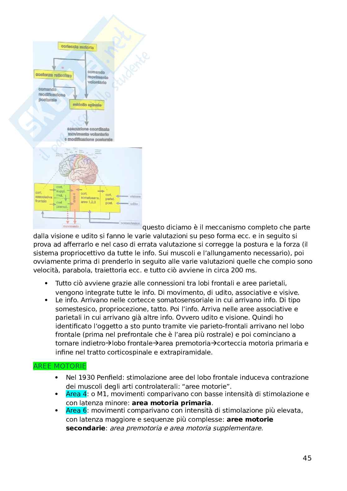Fisiologia Pag. 46