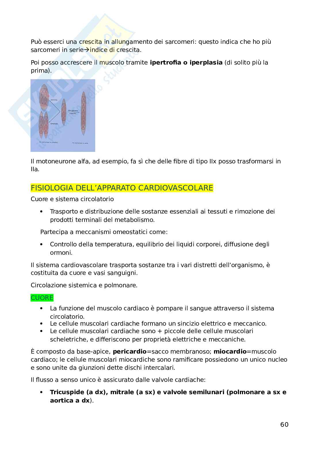 Fisiologia Pag. 61