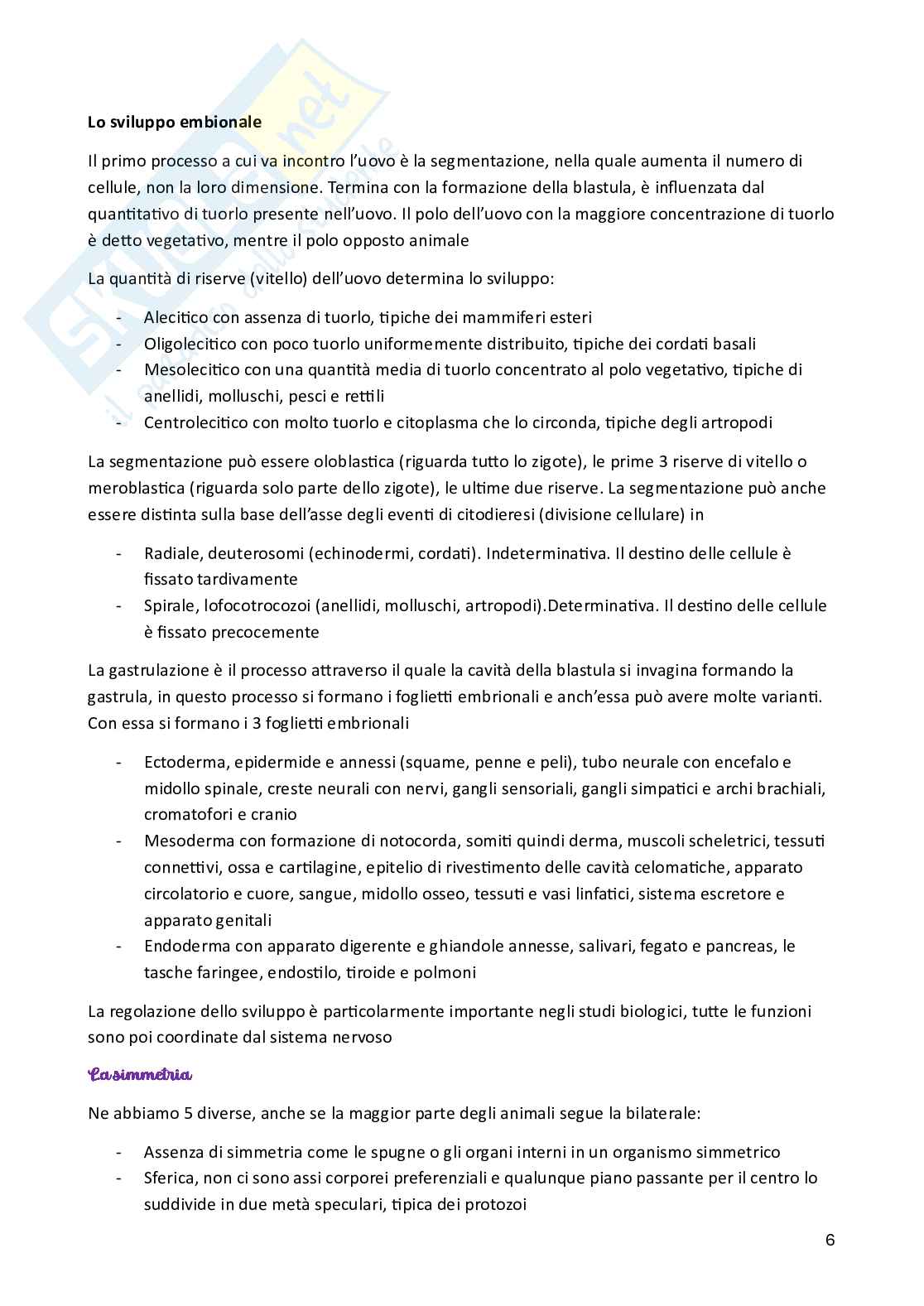 Zoologia Pag. 6