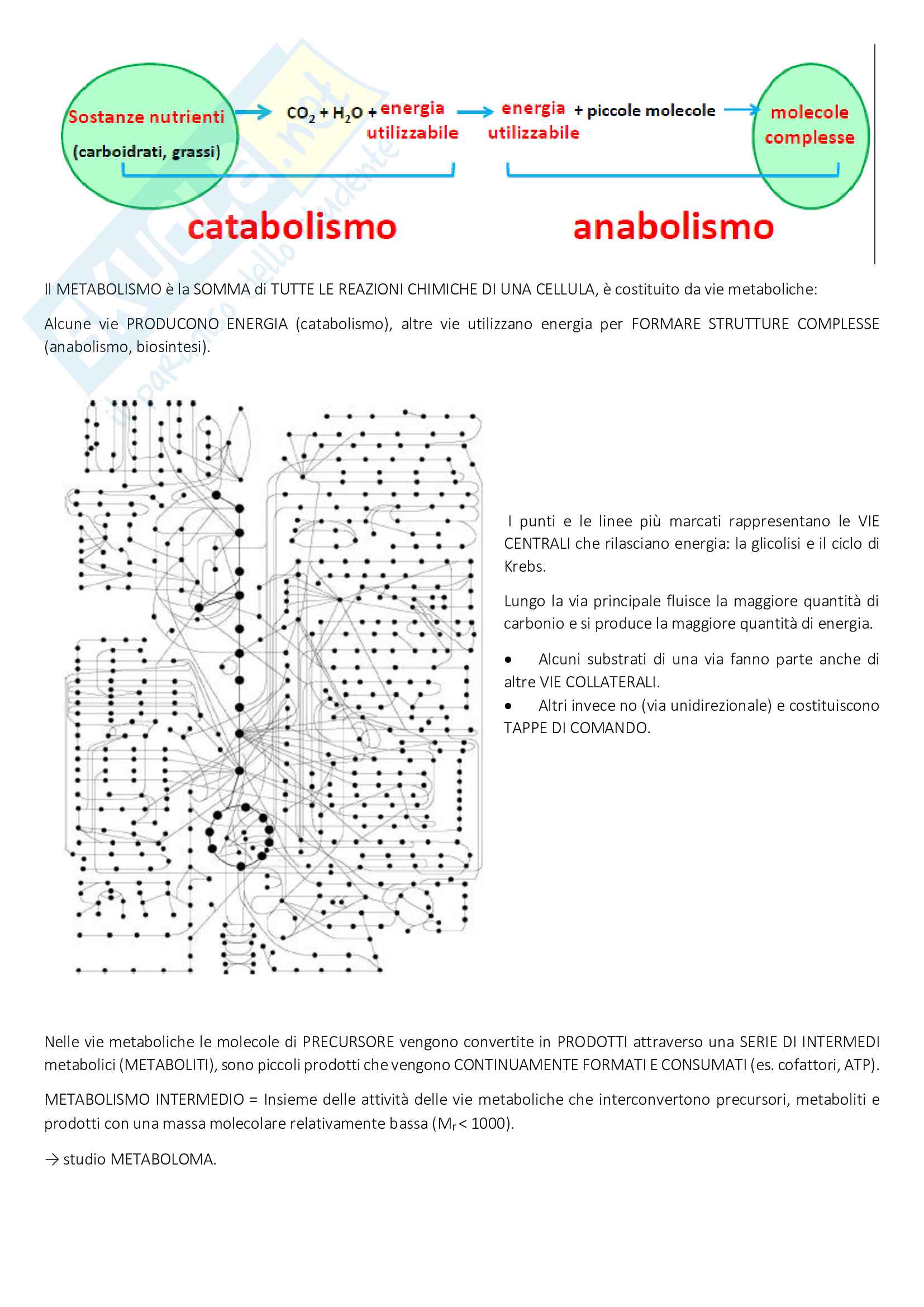 Appunti biochimica 2 (312 pg) Pag. 16