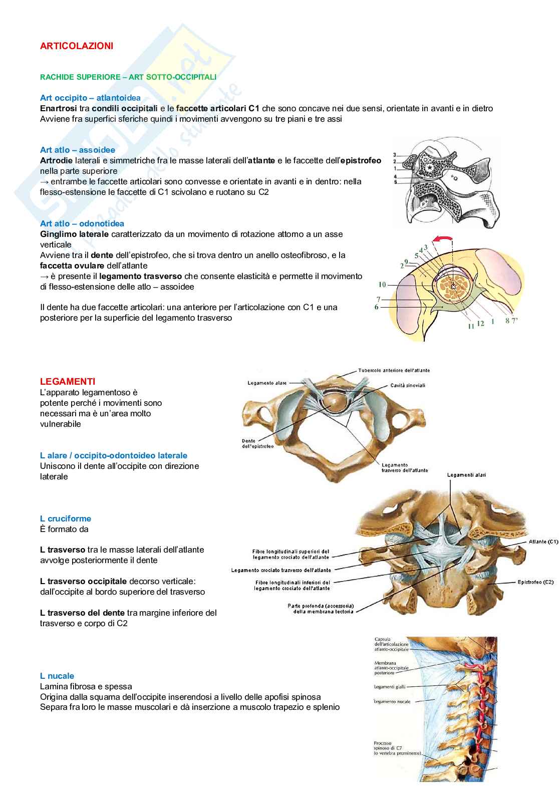 Chinesiologia Pag. 11