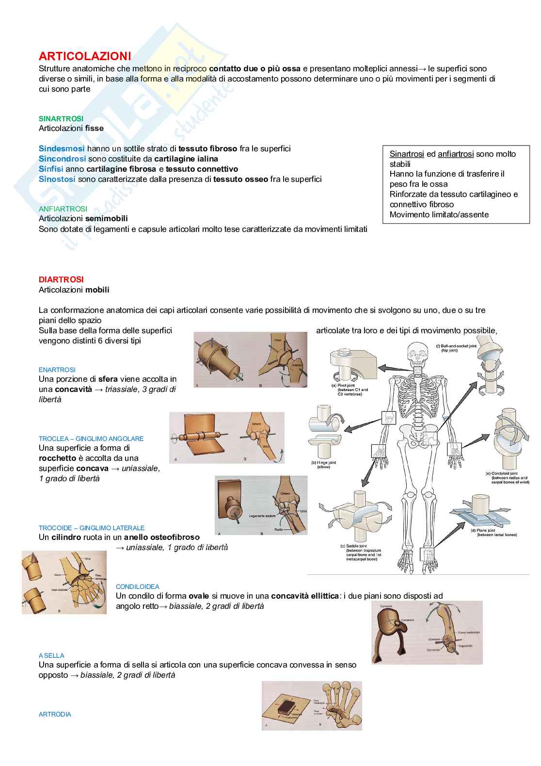 Chinesiologia Pag. 2