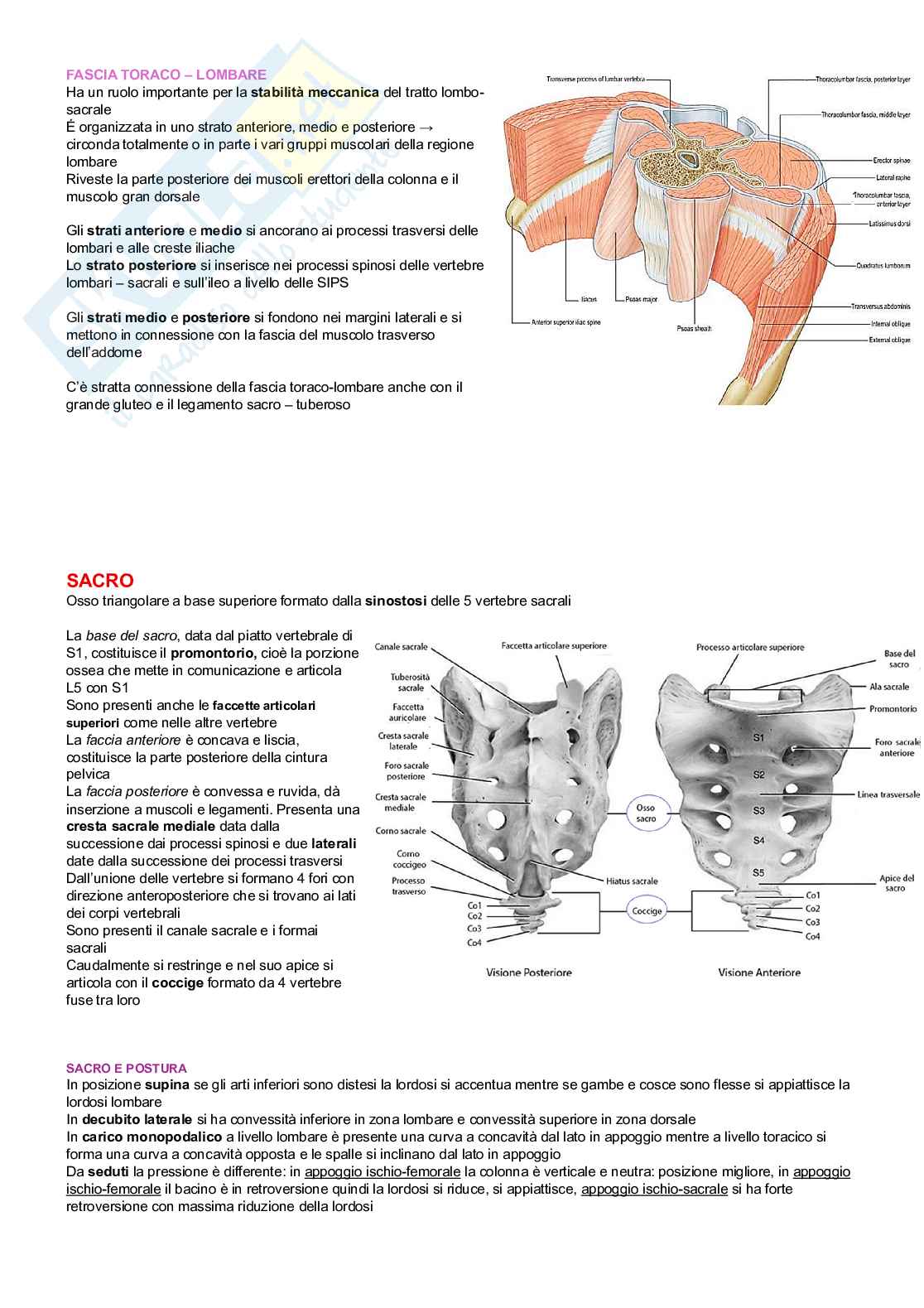 Chinesiologia Pag. 21