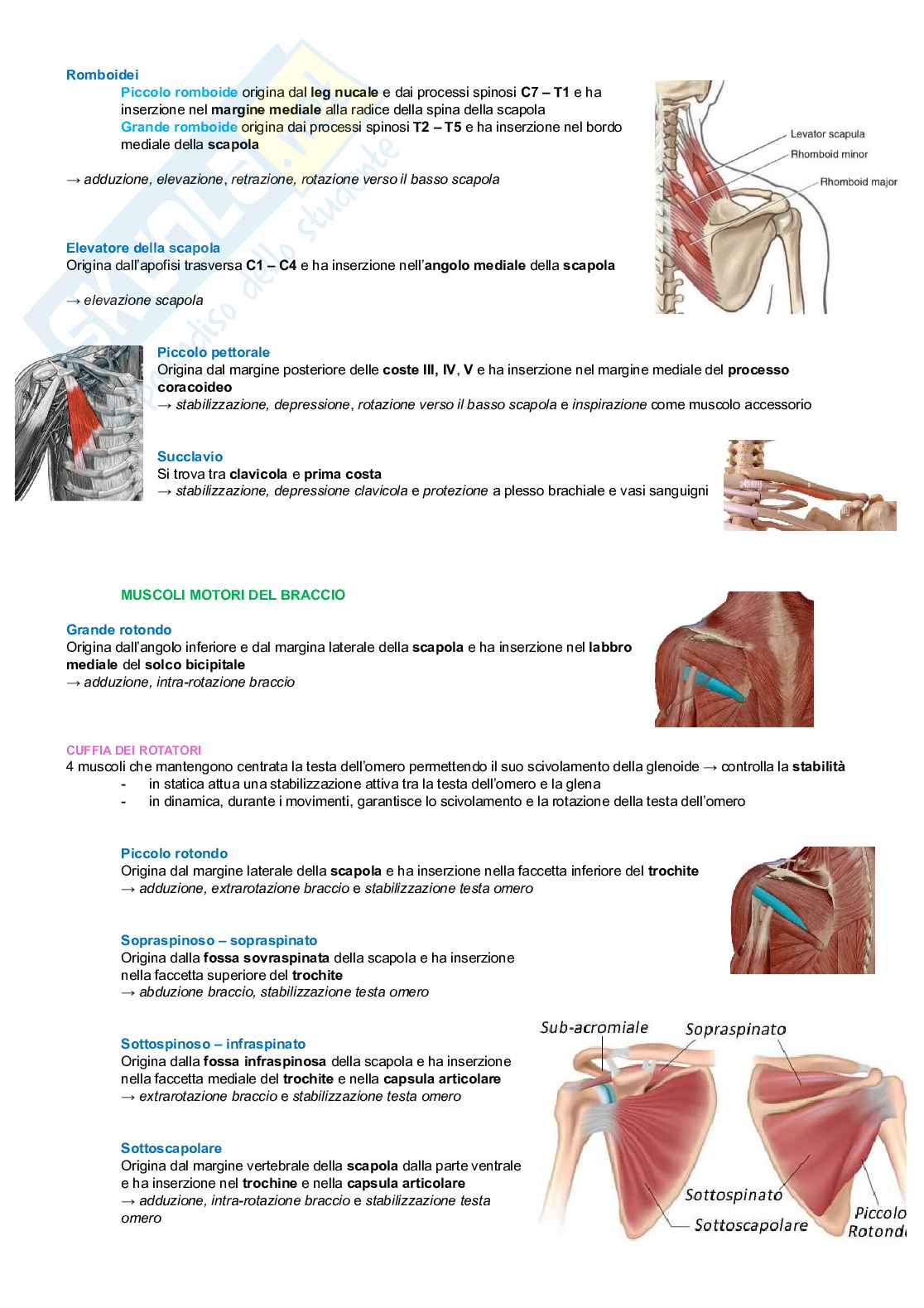 Chinesiologia Pag. 36