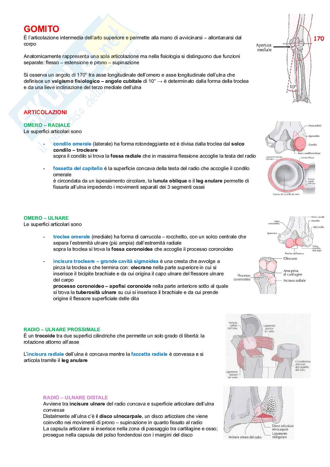 Chinesiologia Pag. 41