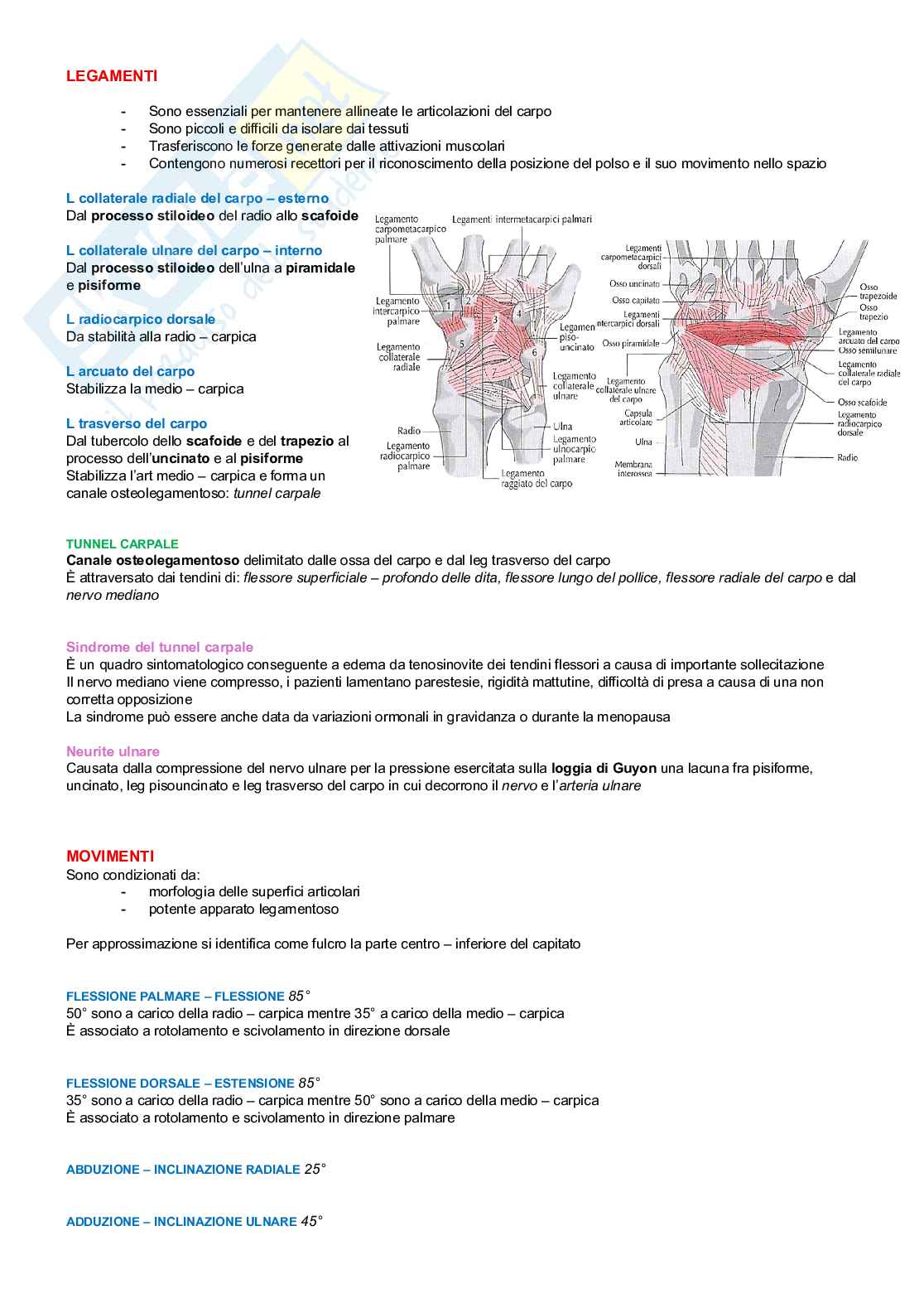Chinesiologia Pag. 46