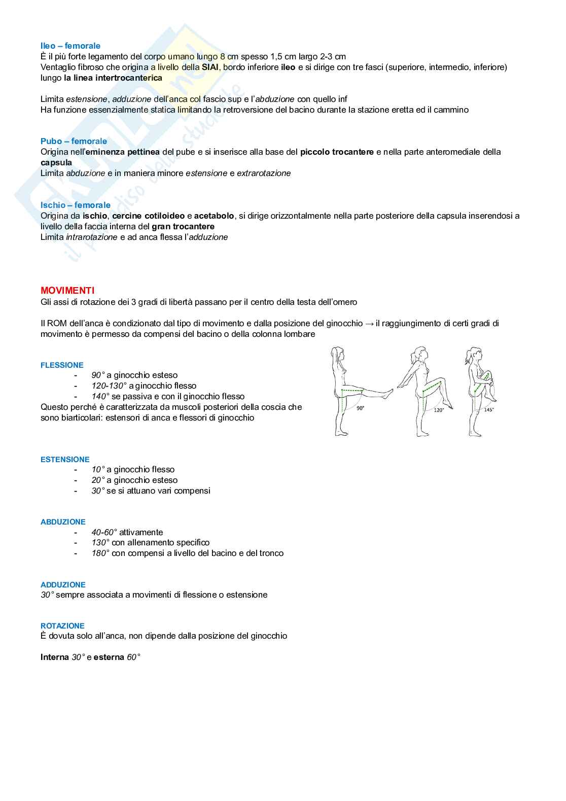 Chinesiologia Pag. 56