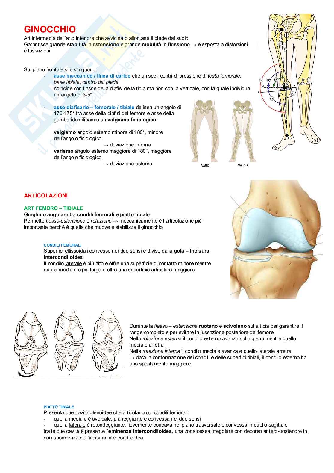 Chinesiologia Pag. 61