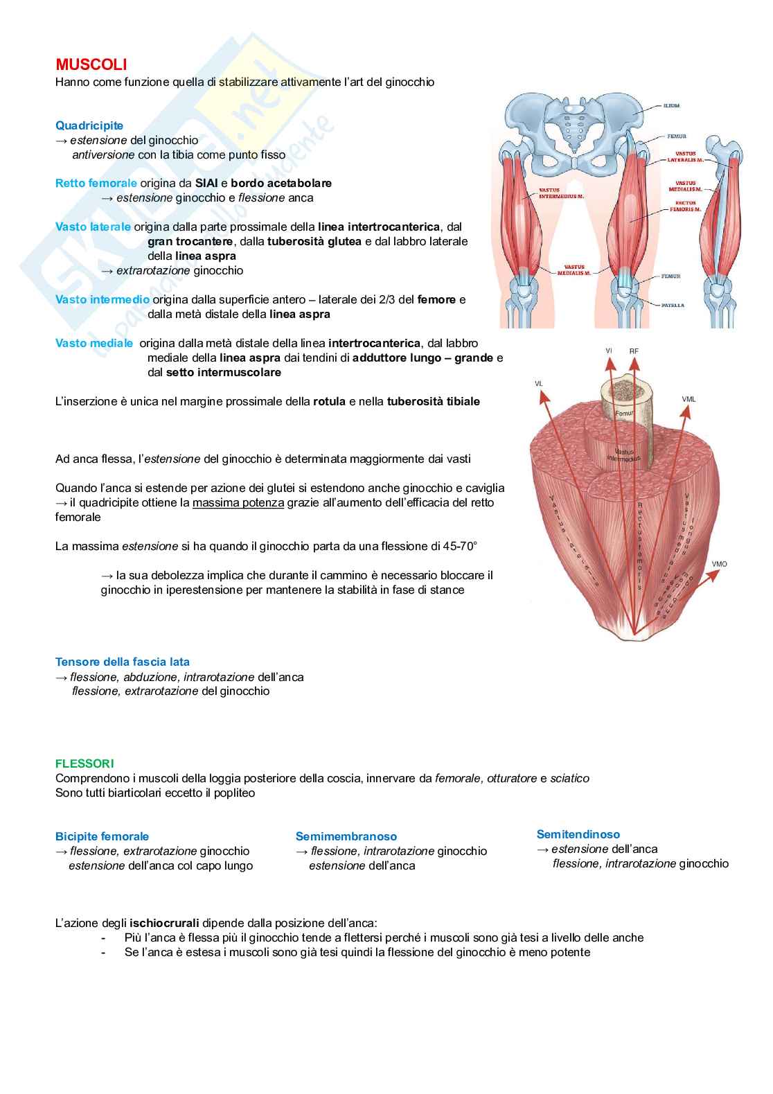Chinesiologia Pag. 66