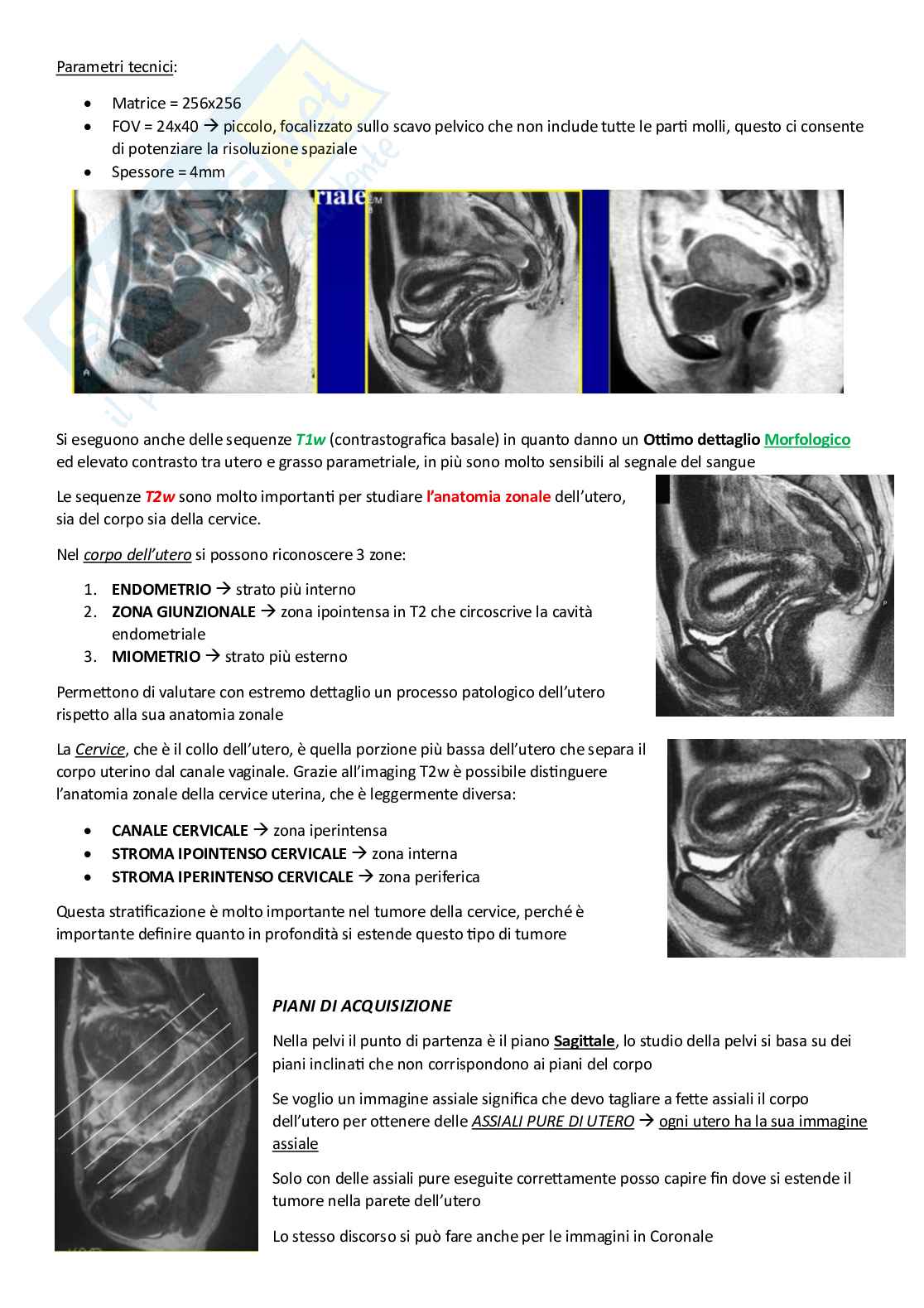 Risonanza magnetica addome Pag. 26