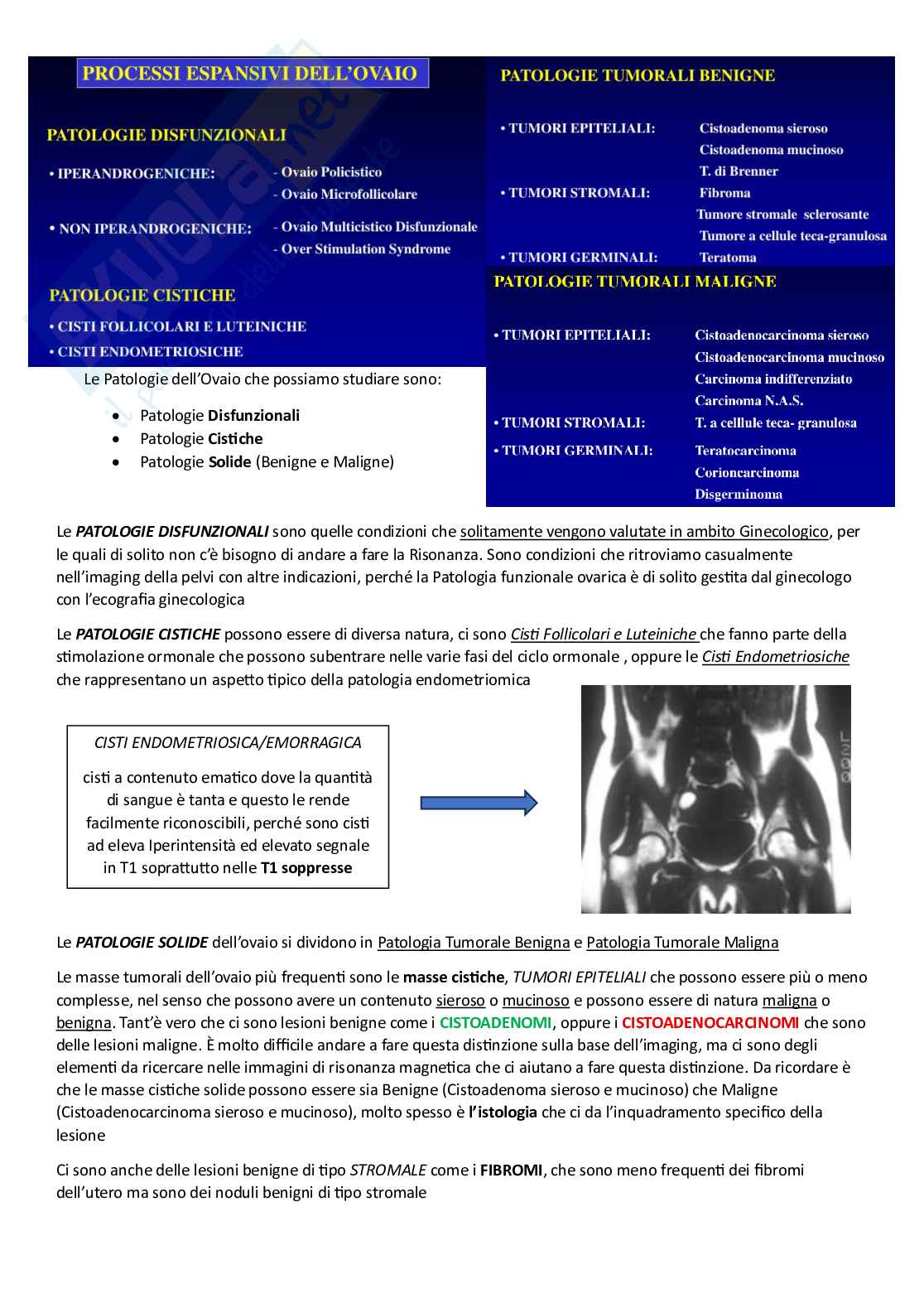 Risonanza magnetica addome Pag. 31