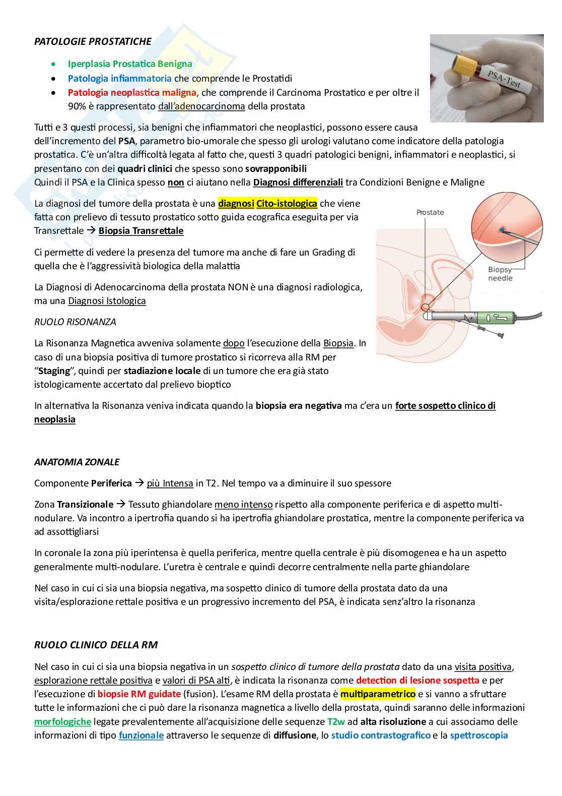 Risonanza magnetica addome Pag. 46