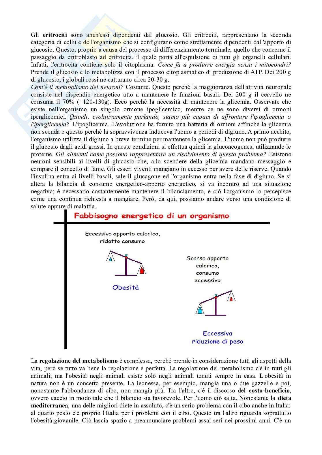 Appunti di Biochimica degli alimenti Pag. 2