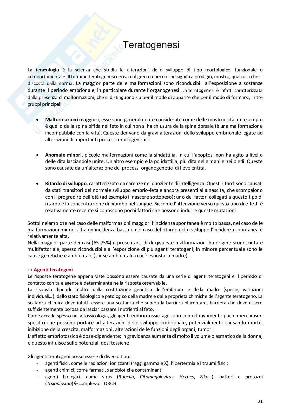 Appunti completi Tossicologia   Pag. 31