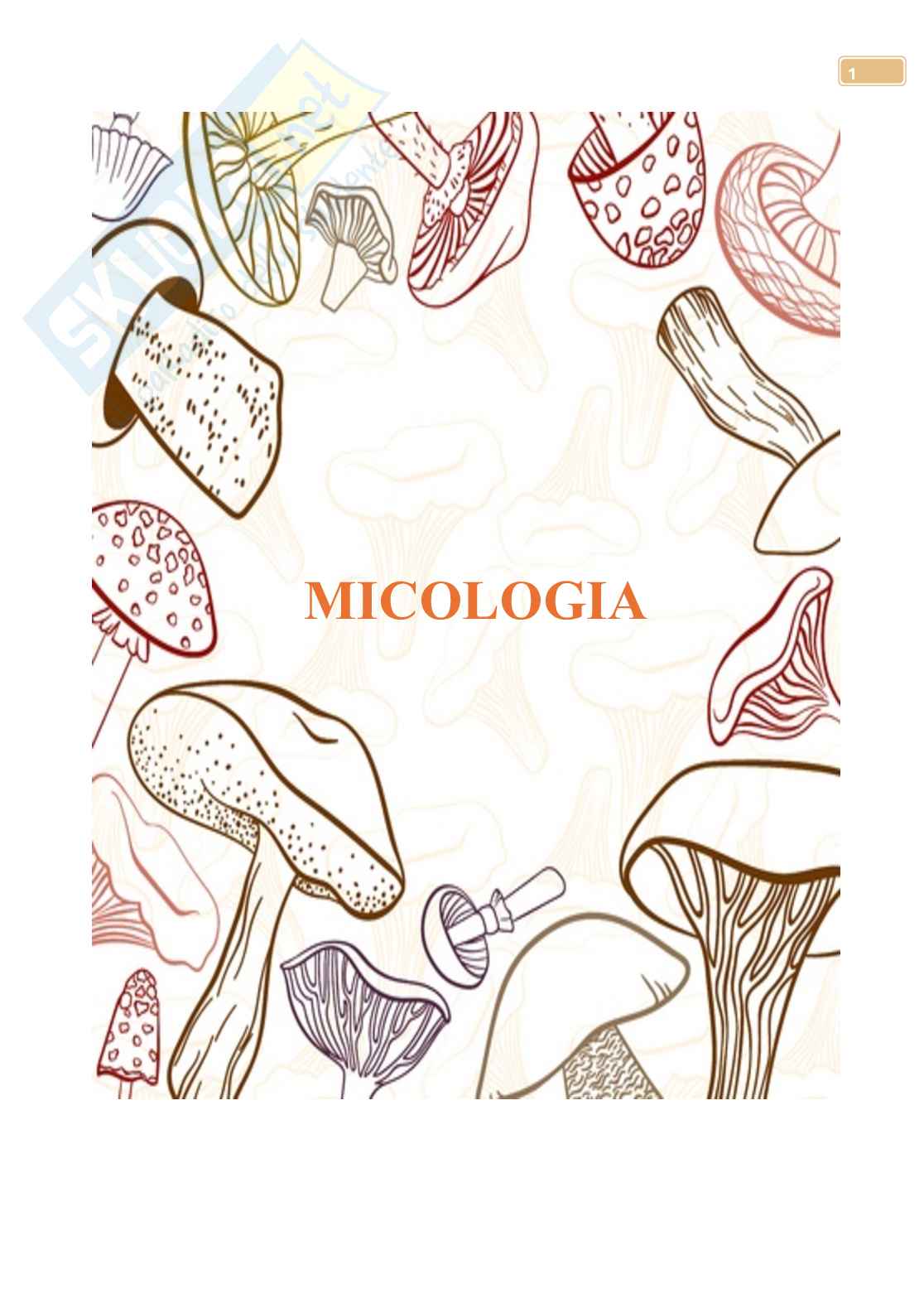 Micologia  Pag. 1