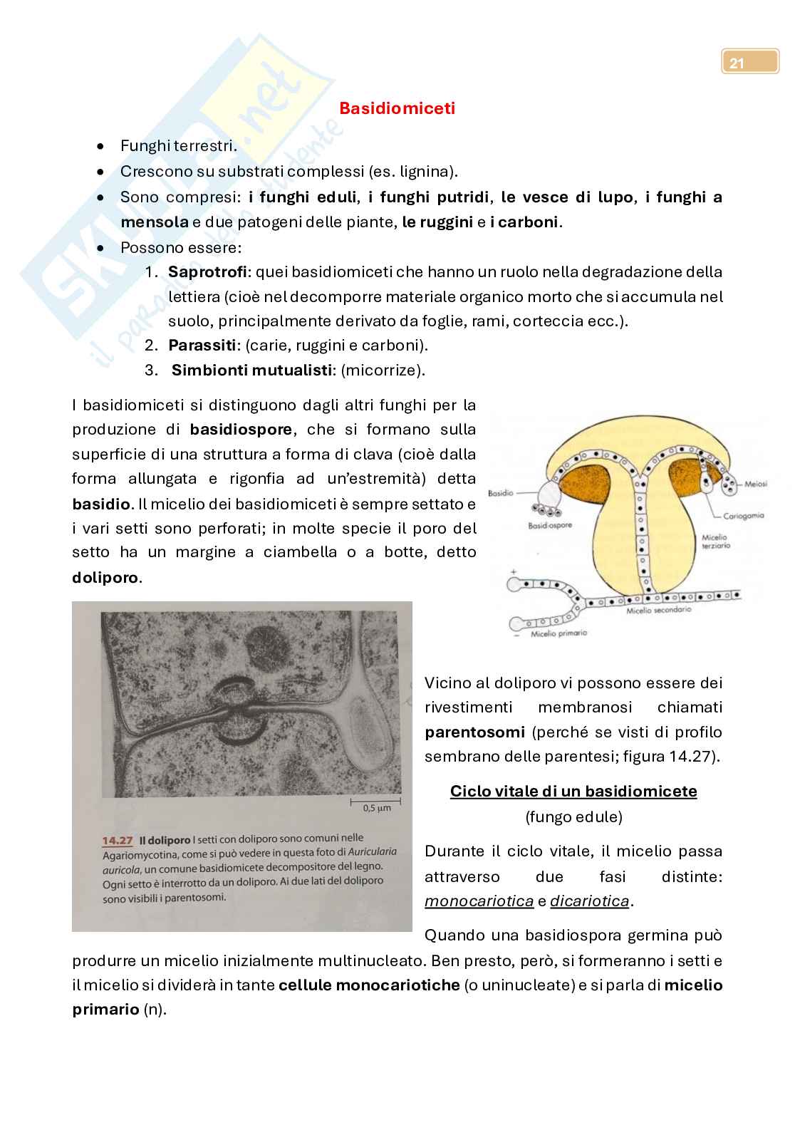 Micologia  Pag. 21
