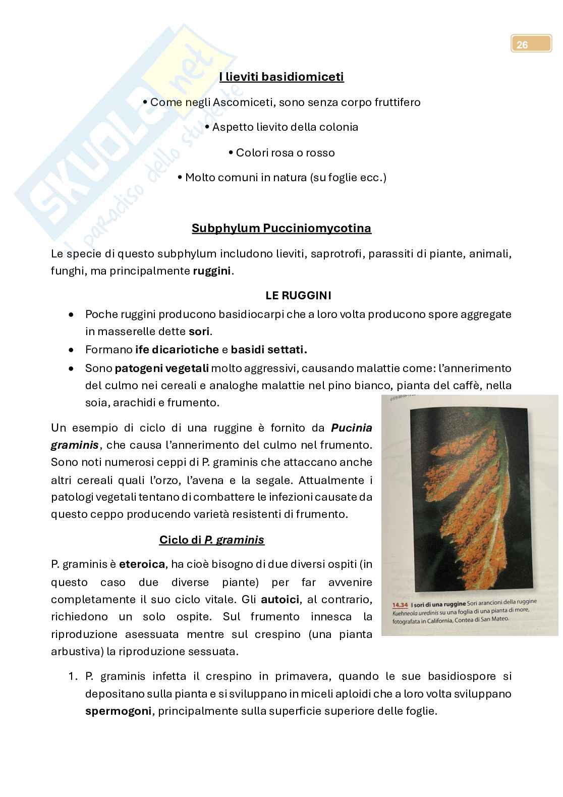 Micologia  Pag. 26