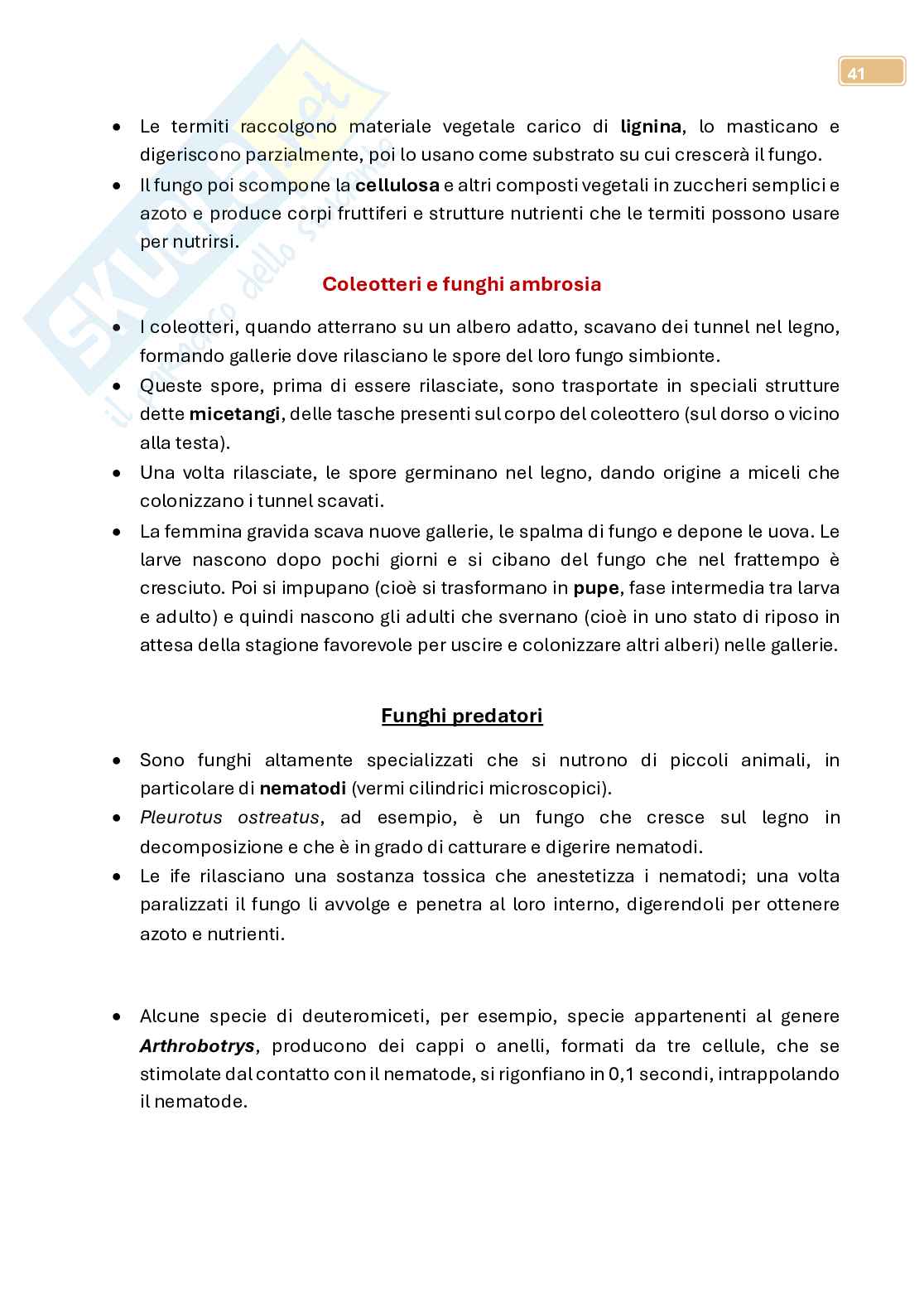 Micologia  Pag. 41