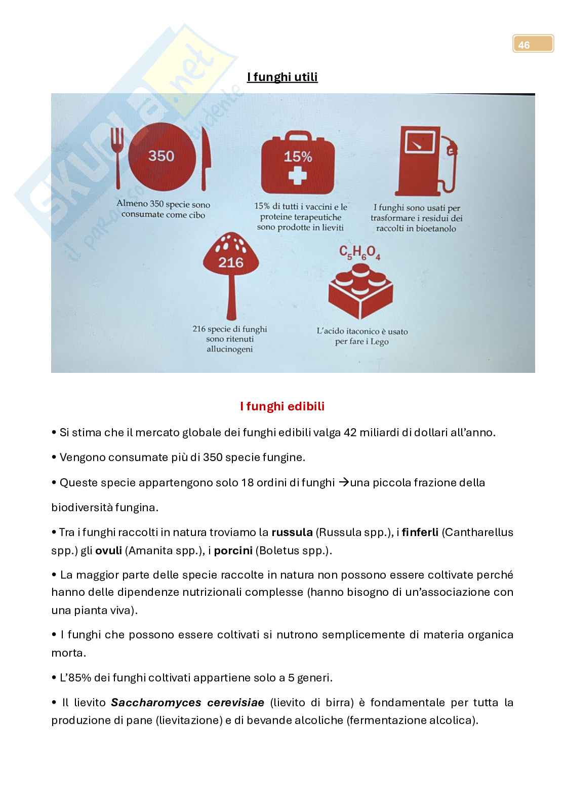 Micologia  Pag. 46