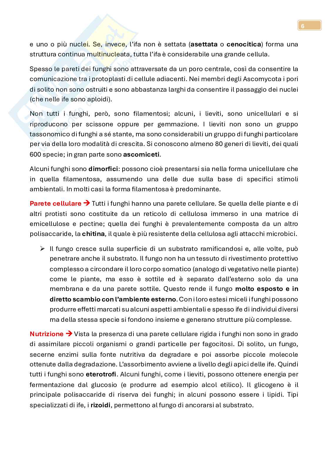 Micologia  Pag. 6