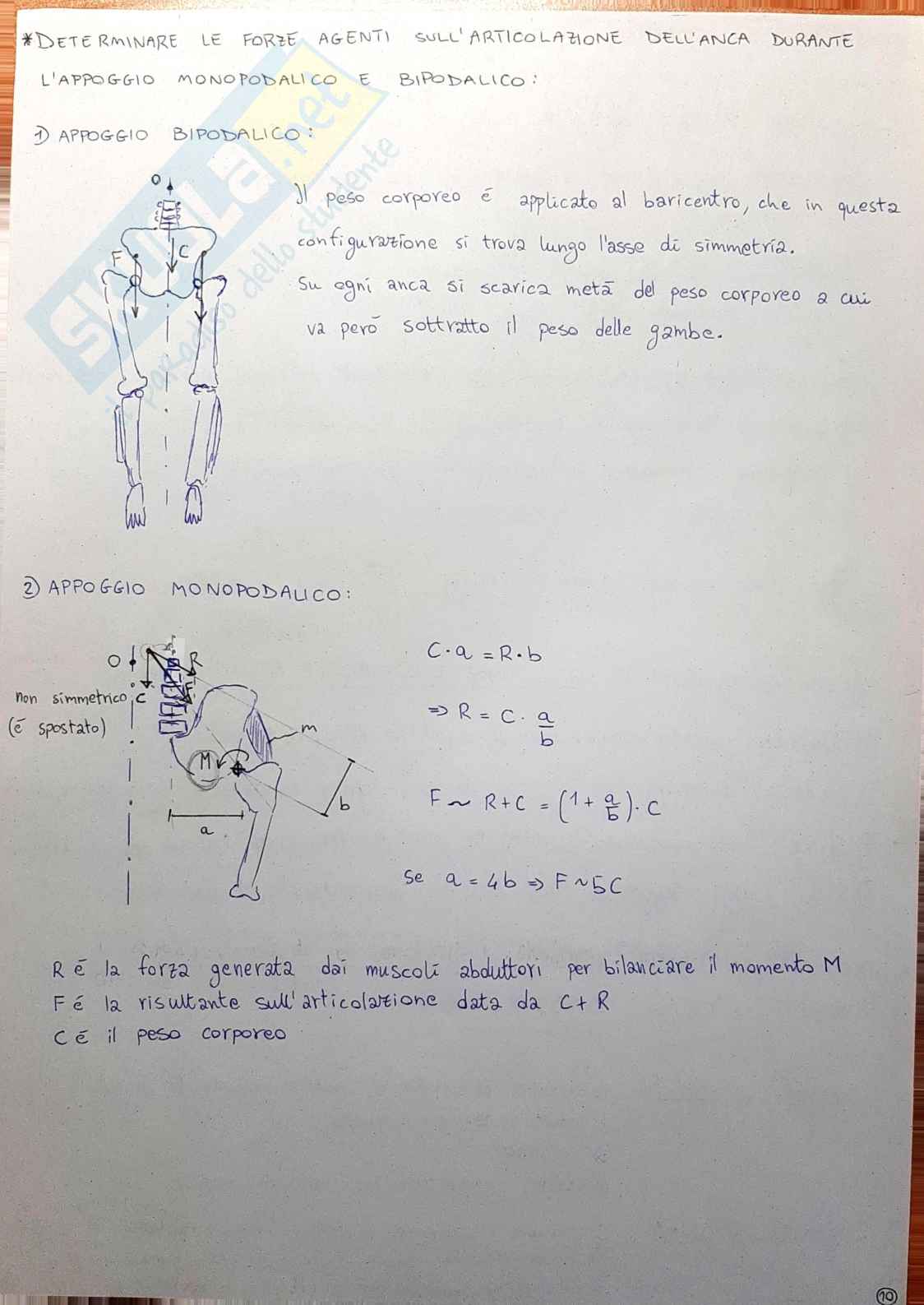 Domande di teoria e formulario Endoprotesi Pag. 11