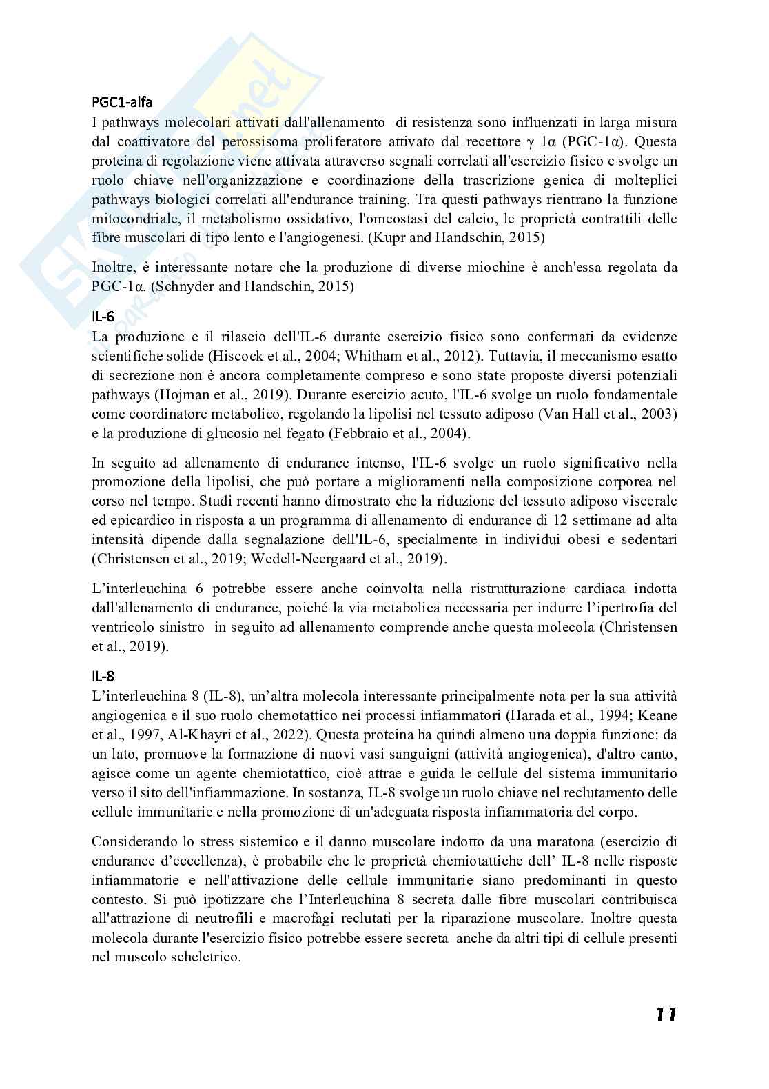 Ruolo del secretoma muscolare in condizioni fisiologiche e patologiche ​ Pag. 11
