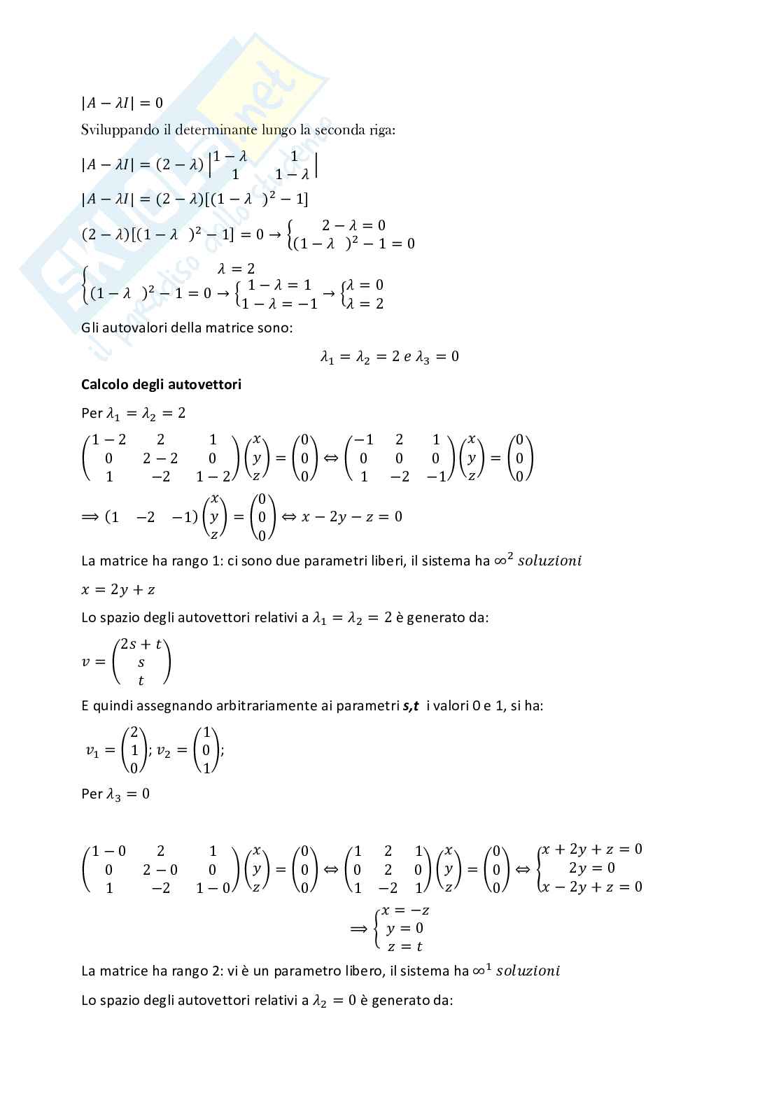 Matematica per l'economia, prove d'esame svolte. Prof De Simone-D'Aniello Pag. 6