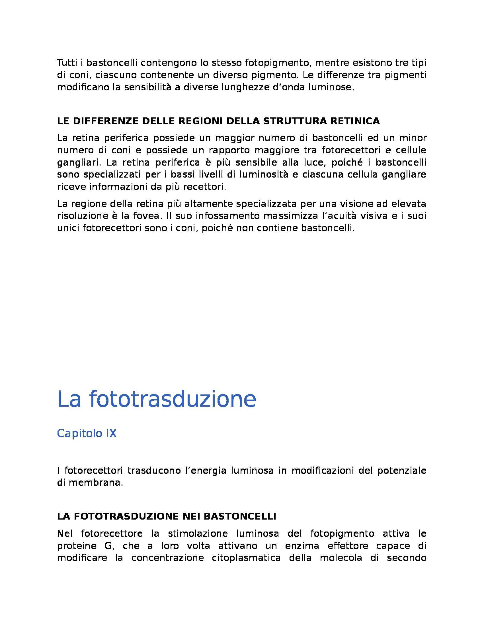 Riassunto esame Neuroscienze, prof. Paulesu, libro consigliato Neuroscienze. Esplorando il cervello, Bears, Connors, Paradiso Pag. 51