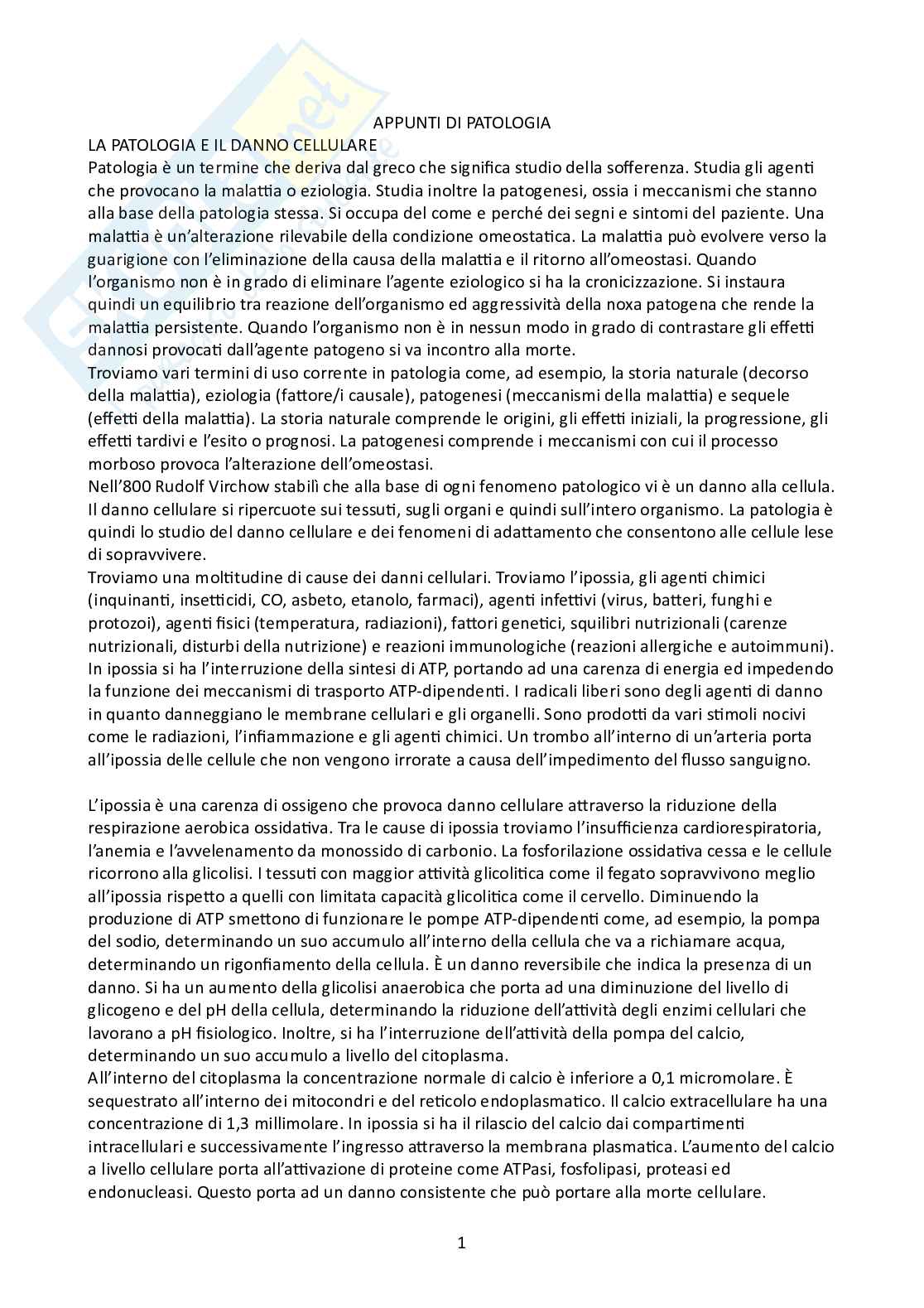 Appunti di Patologia Pag. 1