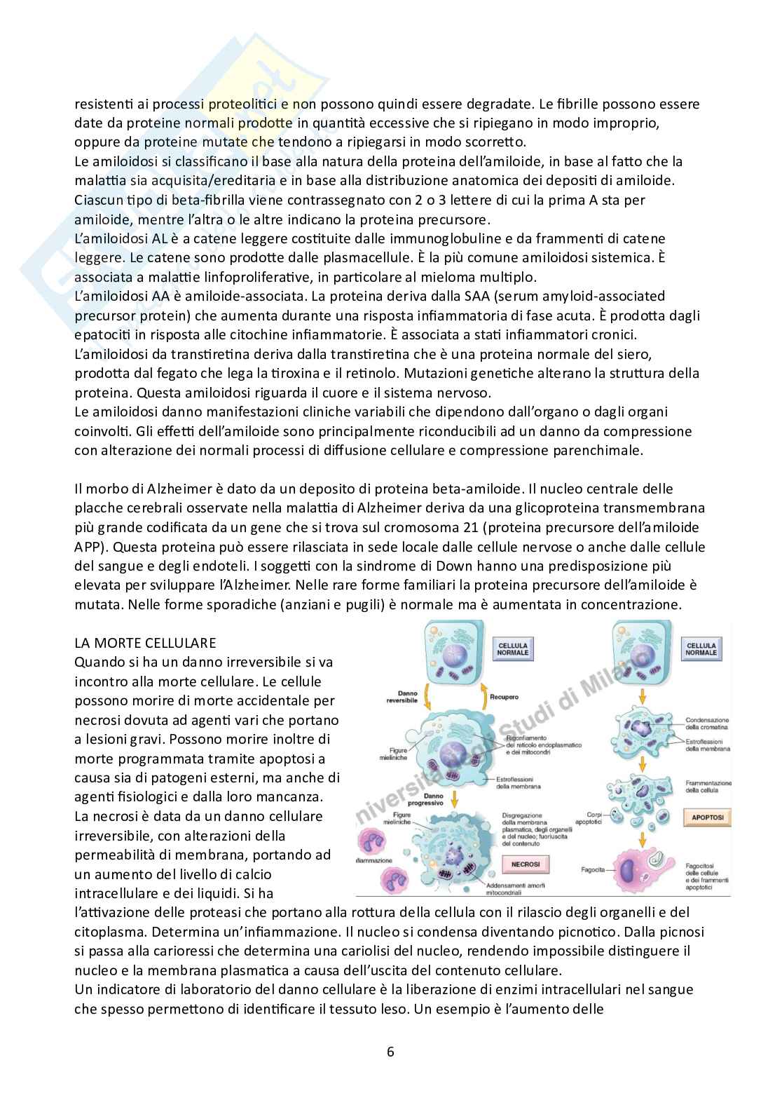 Appunti di Patologia Pag. 6