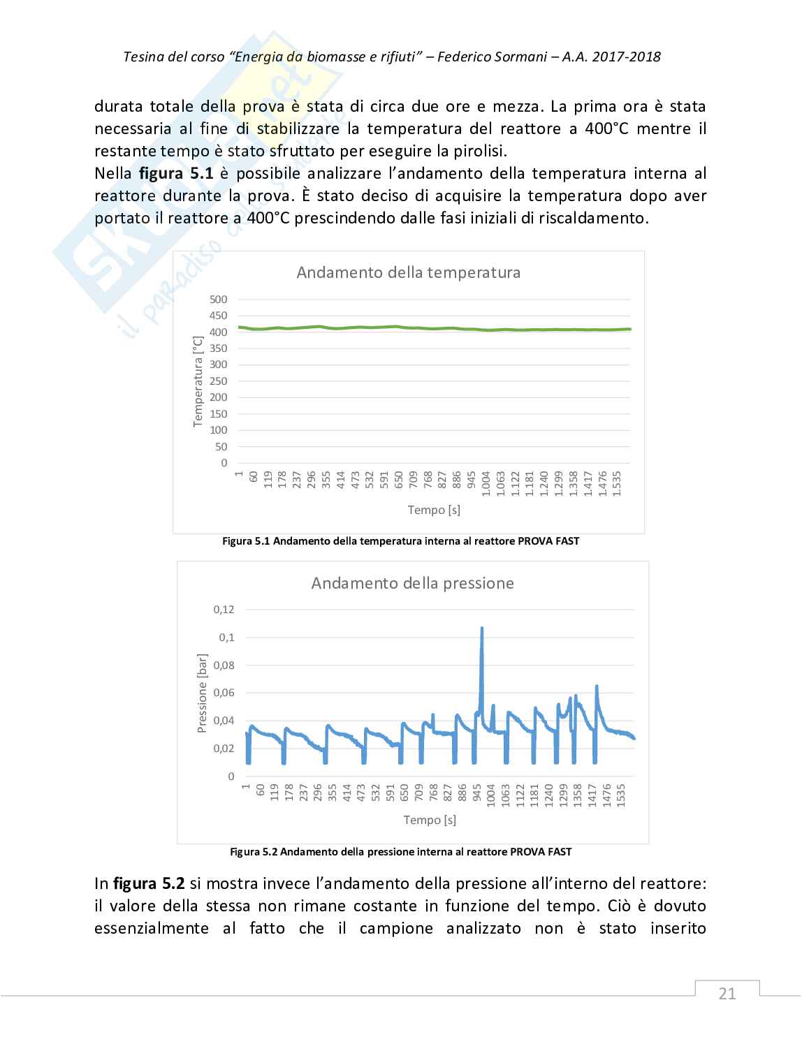 Tesina "Pirolisi di fanghi di depurazione di reflui civili" - Sormani Federico Pag. 21