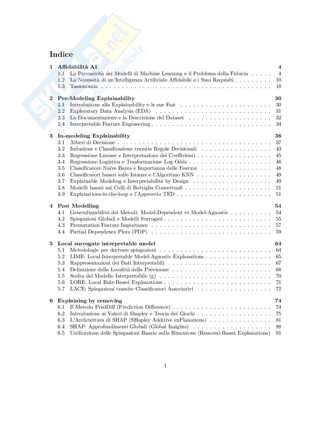 Explainable and Trustworthy AI - Appunti completi (XAI, SHAP, LIME, CBM, Grad-CAM, LLM) Pag. 2