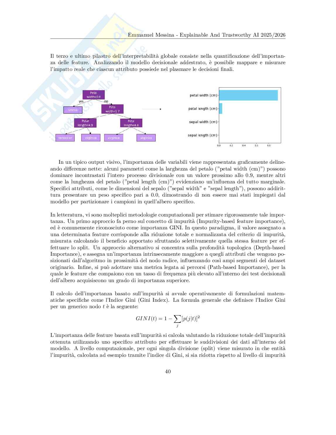 Explainable and Trustworthy AI - Appunti completi (XAI, SHAP, LIME, CBM, Grad-CAM, LLM) Pag. 41