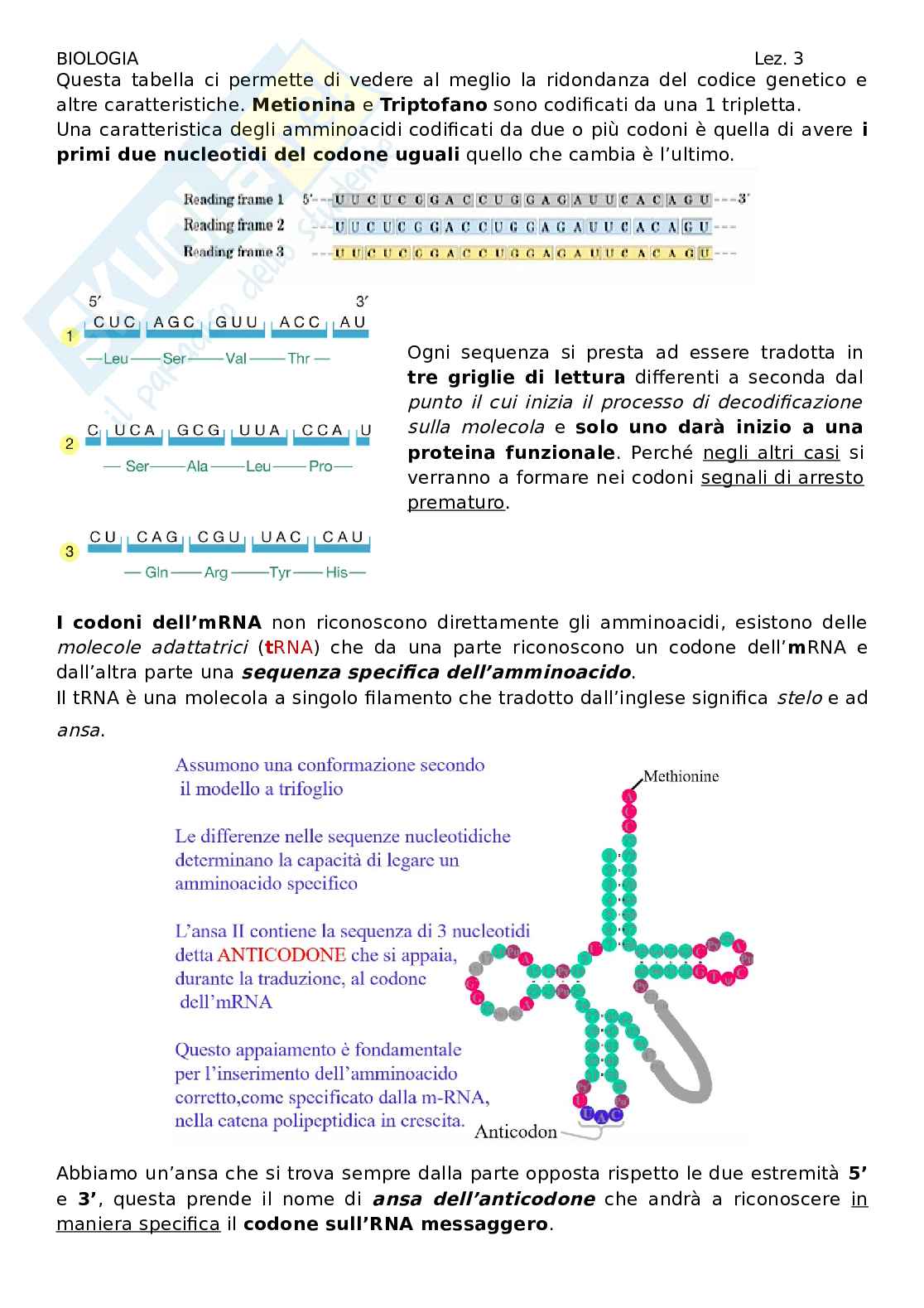 Biologia - lezione 3 Pag. 2