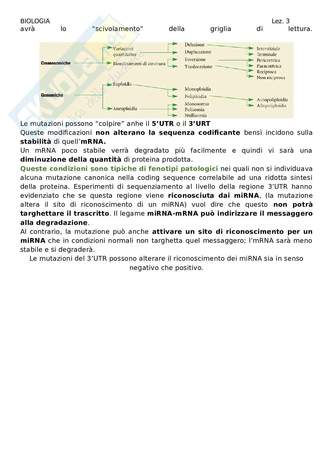 Biologia - lezione 3 Pag. 21