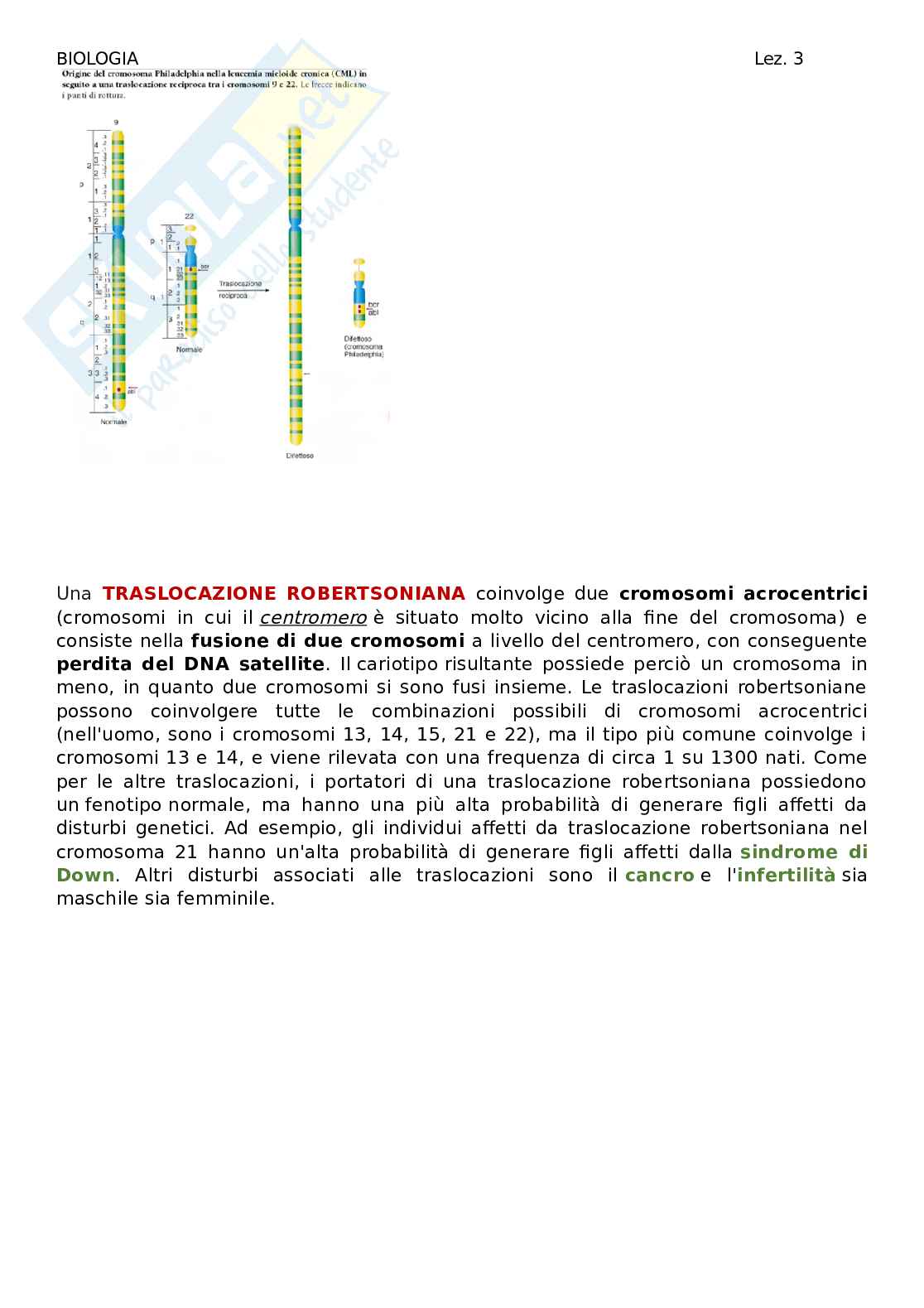 Biologia - lezione 3 Pag. 31