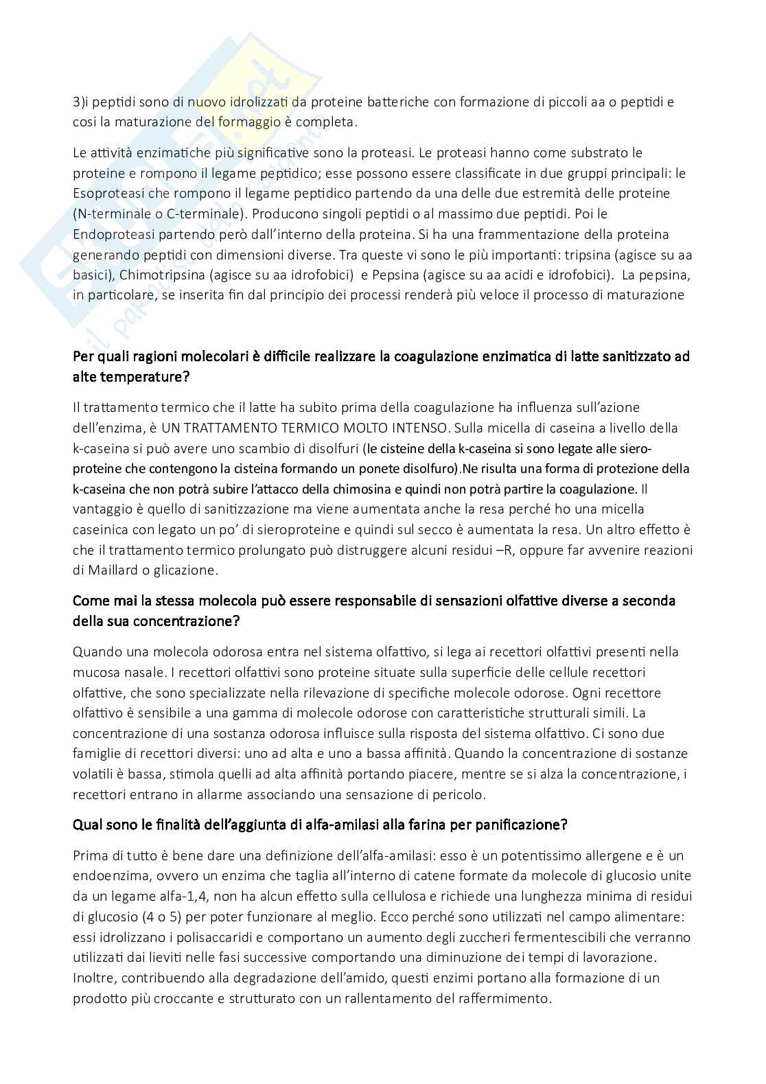 Risposte domande esame Biochimica generale Pag. 26