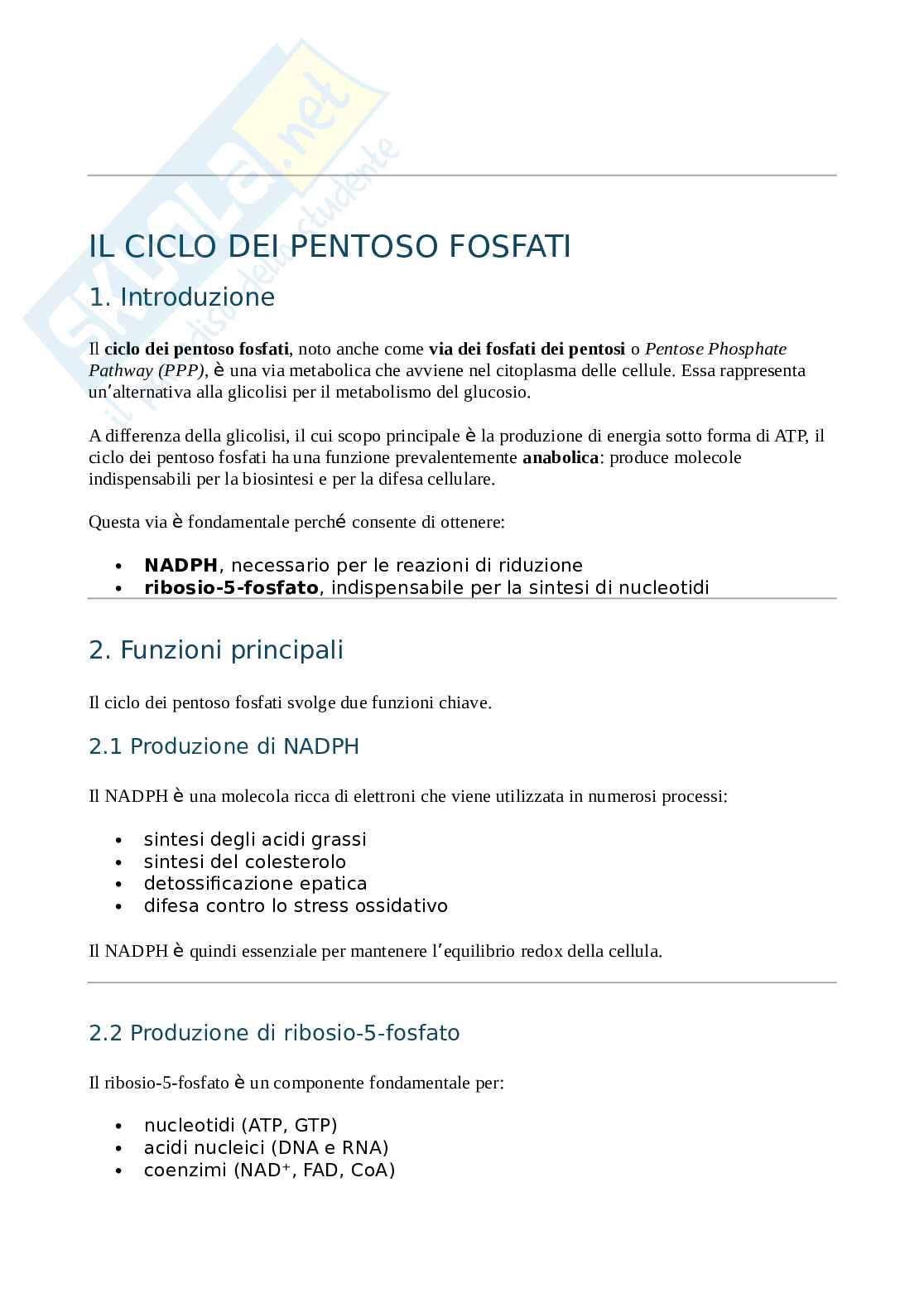 Ciclo dei pentoso fosfati  Pag. 1