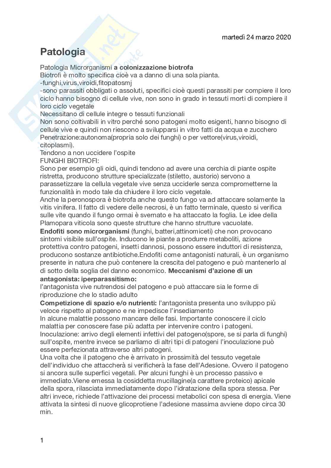 Appunti di Patologia Vegetale Prof. Rita Musetti Pag. 1