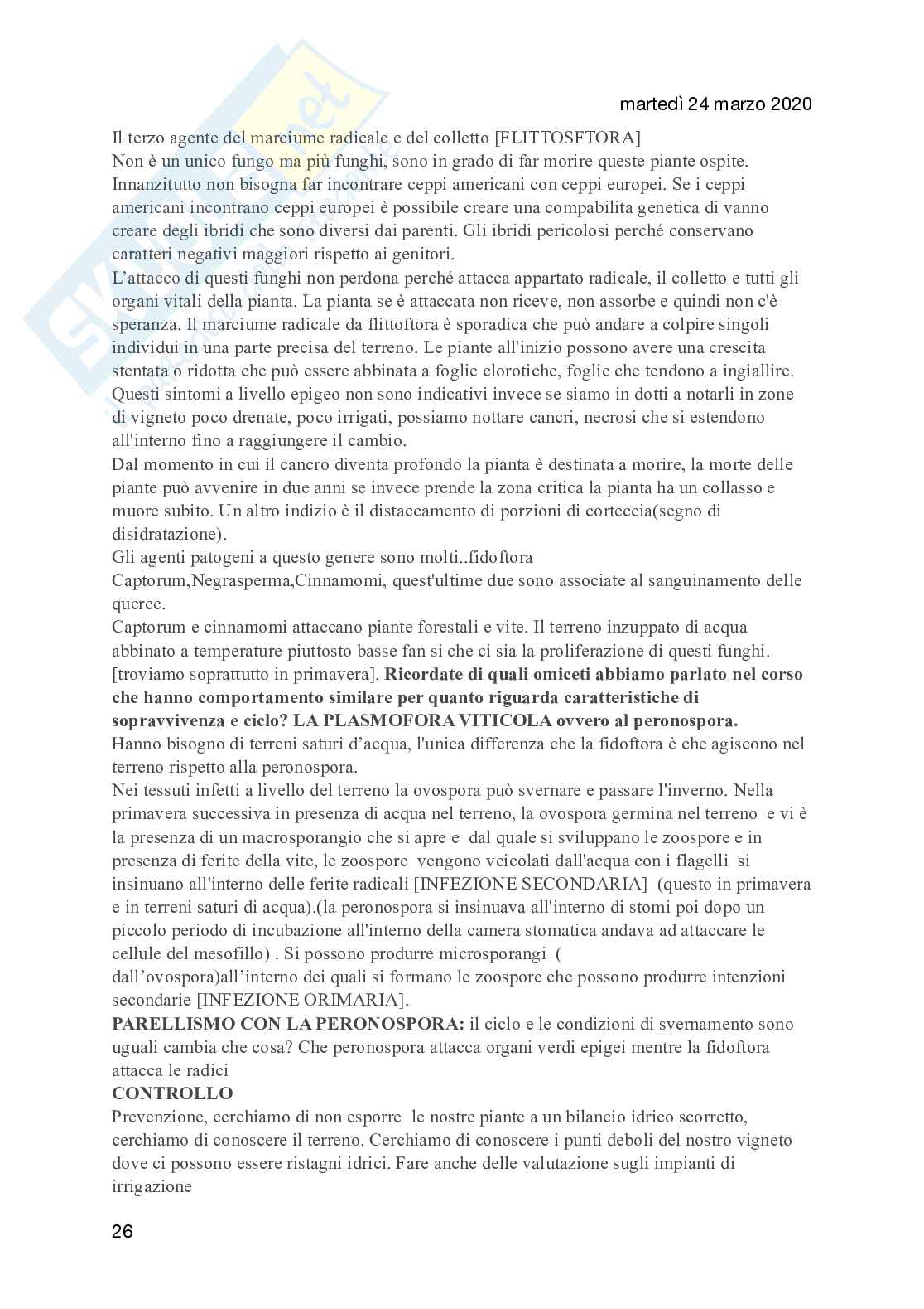 Appunti di Patologia Vegetale Prof. Rita Musetti Pag. 26