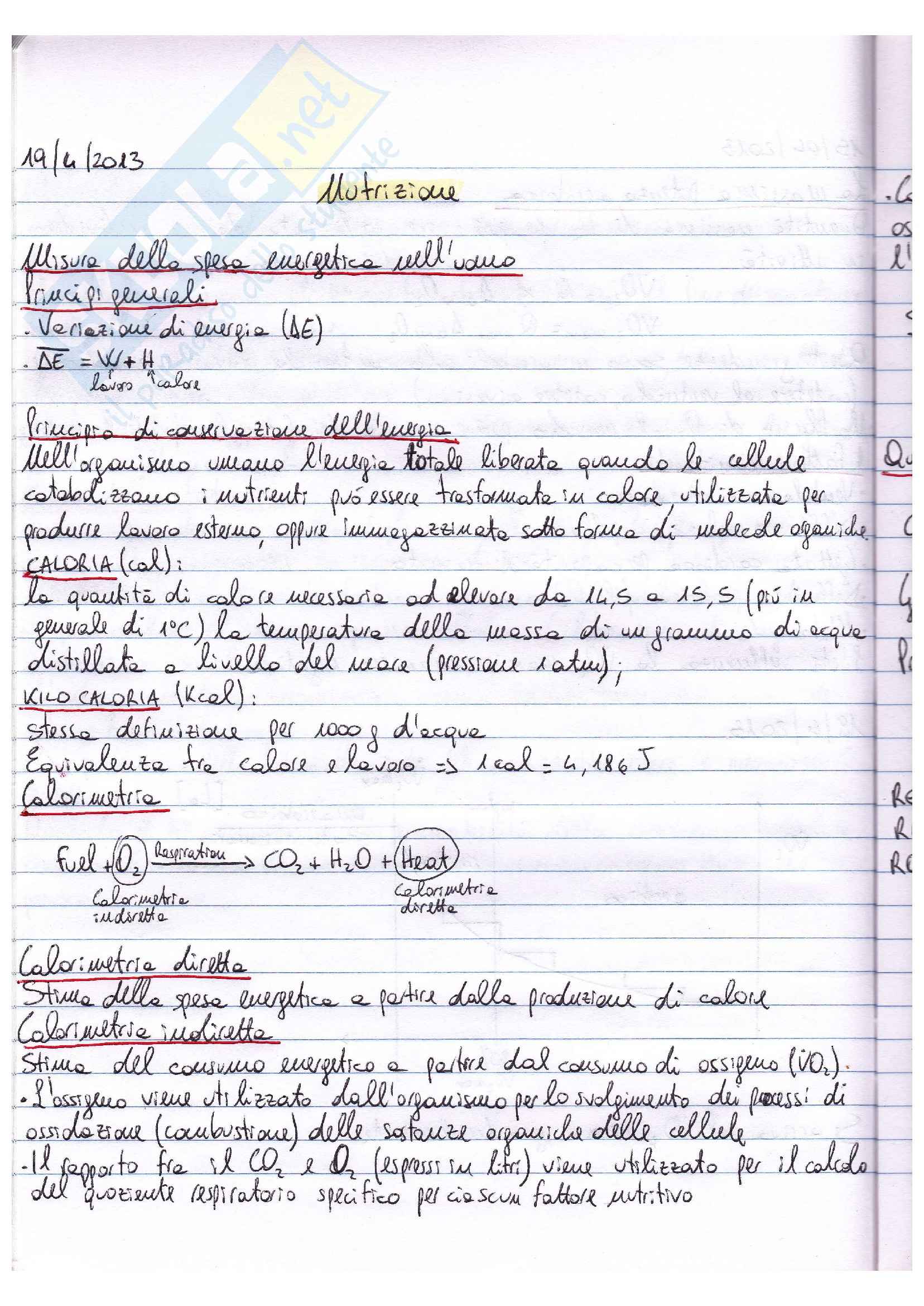 Riassunto esame Fisiologia, prof. Macaluso, libro Fisiologia, Vander, Costill: parte III Pag. 26