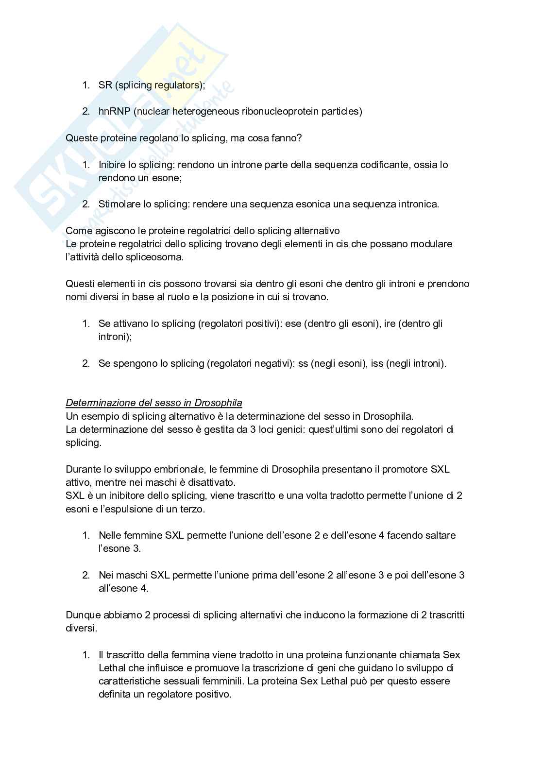 Regolazione dell’espressione genica - Appunti completi e schematici Pag. 16