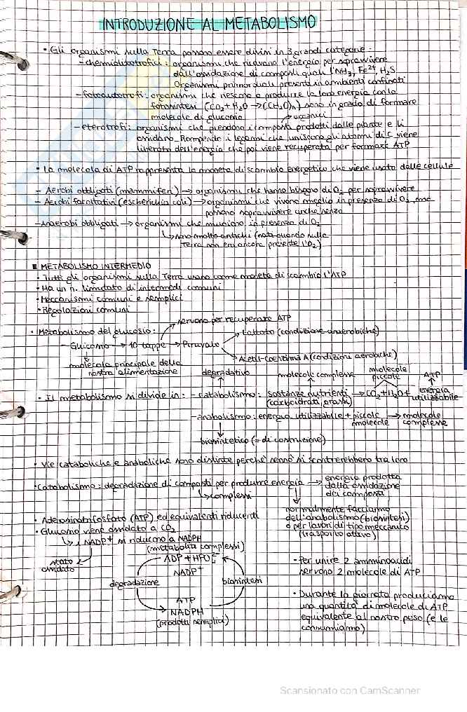 Chimica organica/biochimica Pag. 1