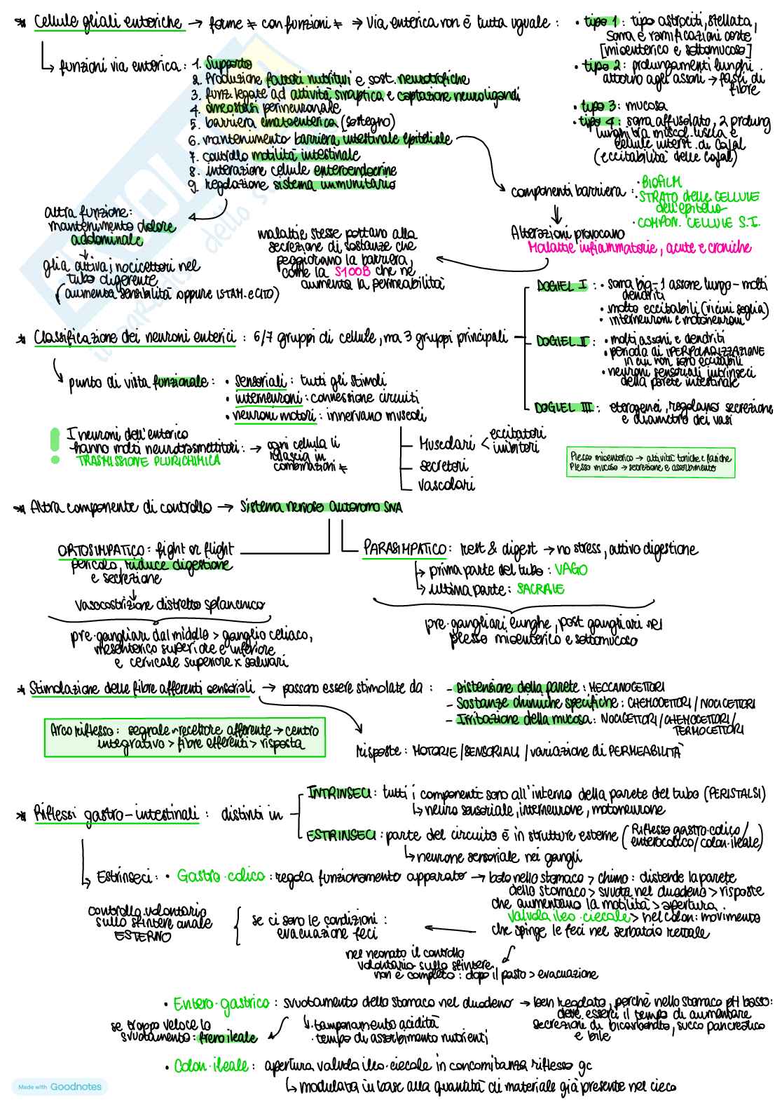 Fisiologia dell’apparato digerente Pag. 2