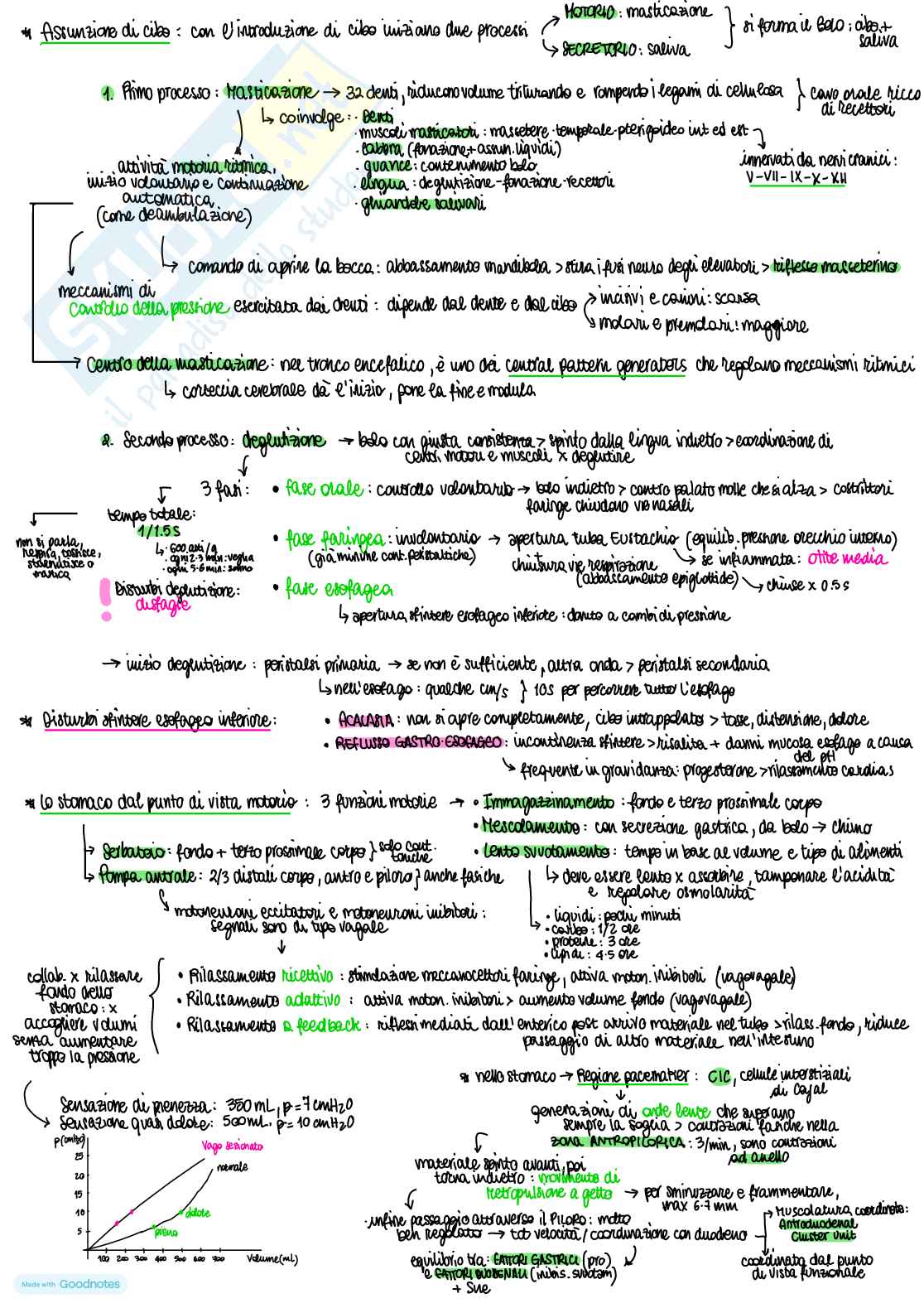 Fisiologia dell’apparato digerente Pag. 6