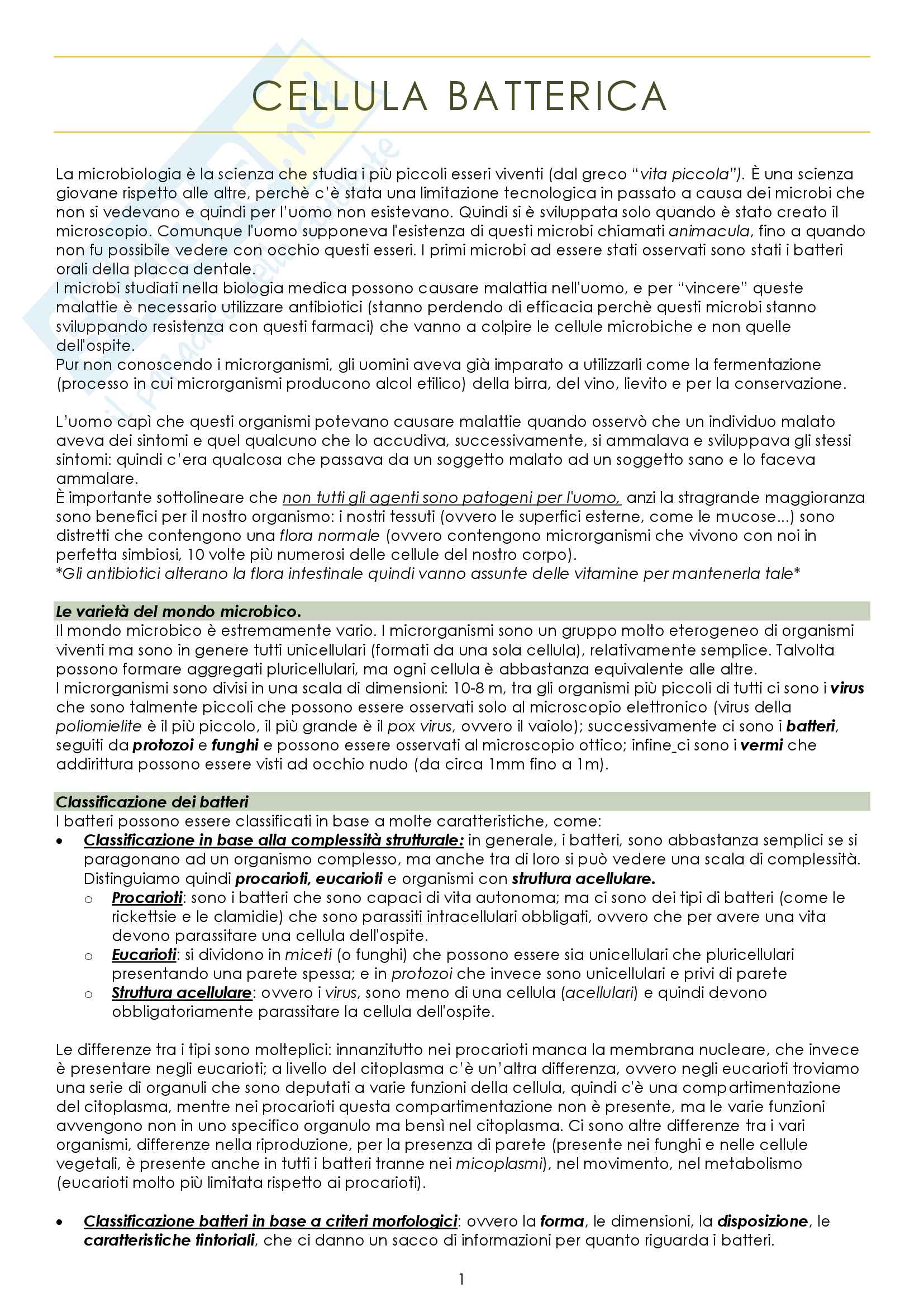 Microbiologia Pag. 2