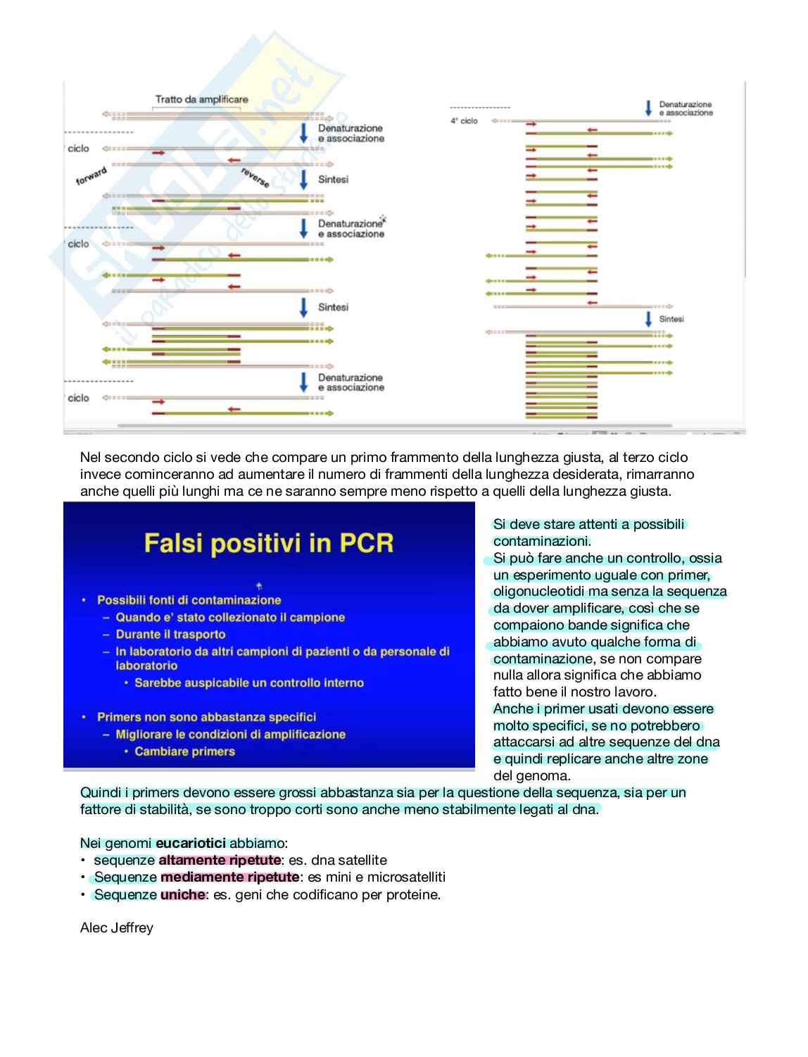 Lezione di Biologia molecolare Pag. 1