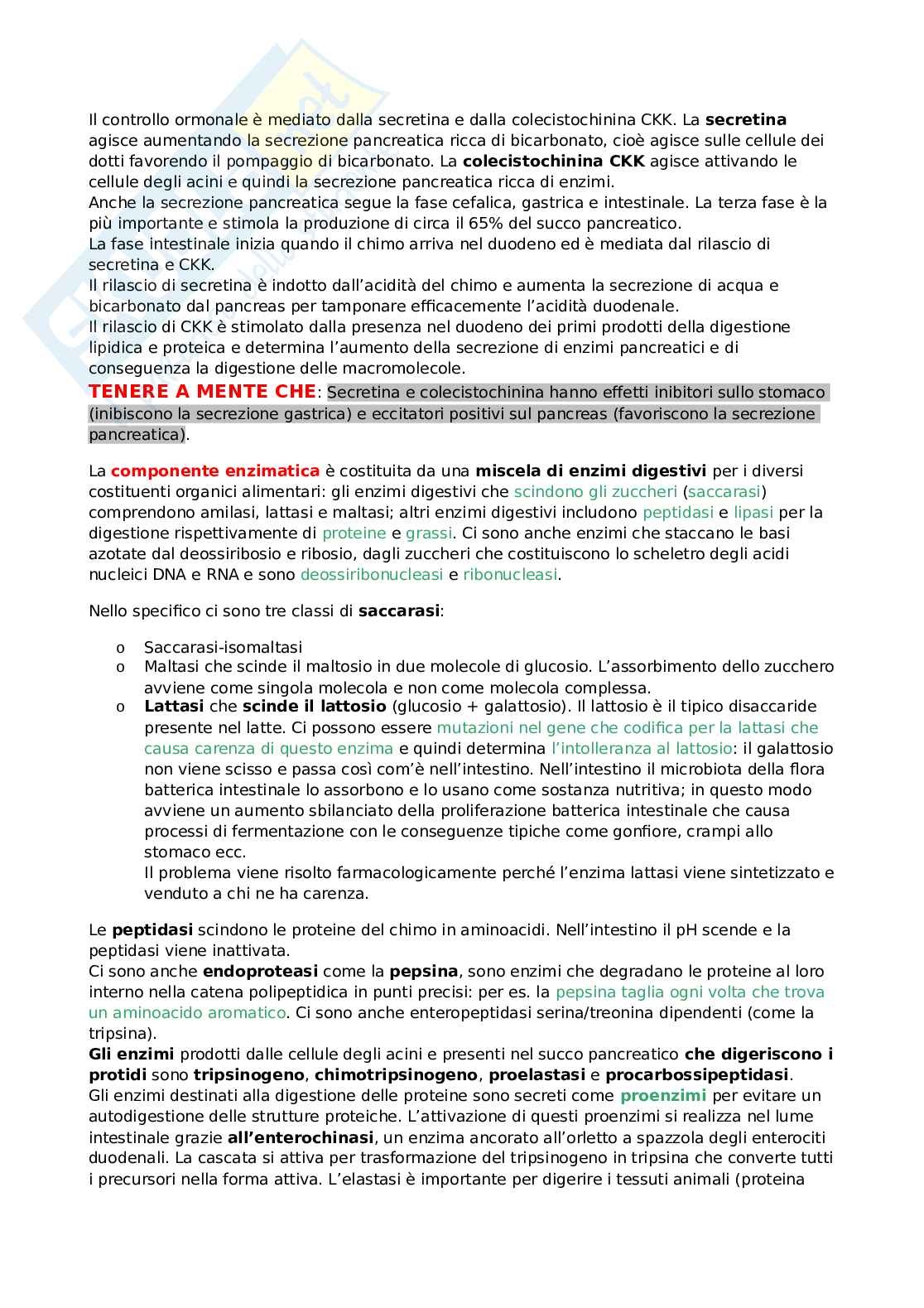 Appunti di Fisiologia della nutrizione Pag. 21